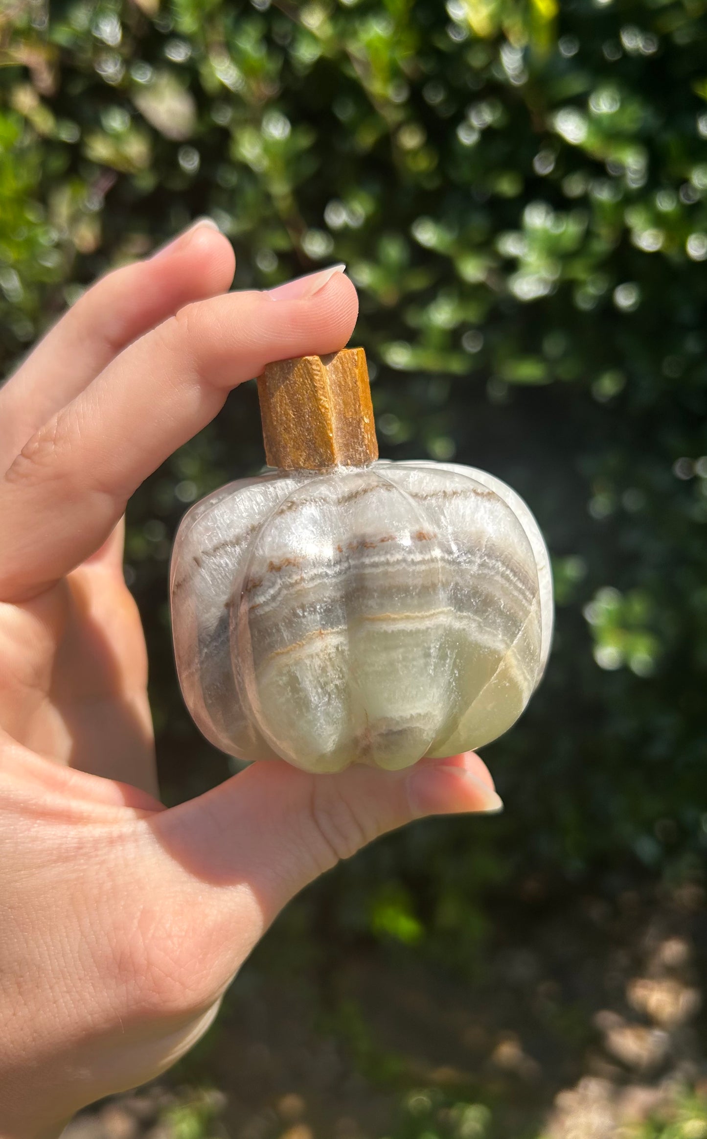 Onyx Pumpkins
