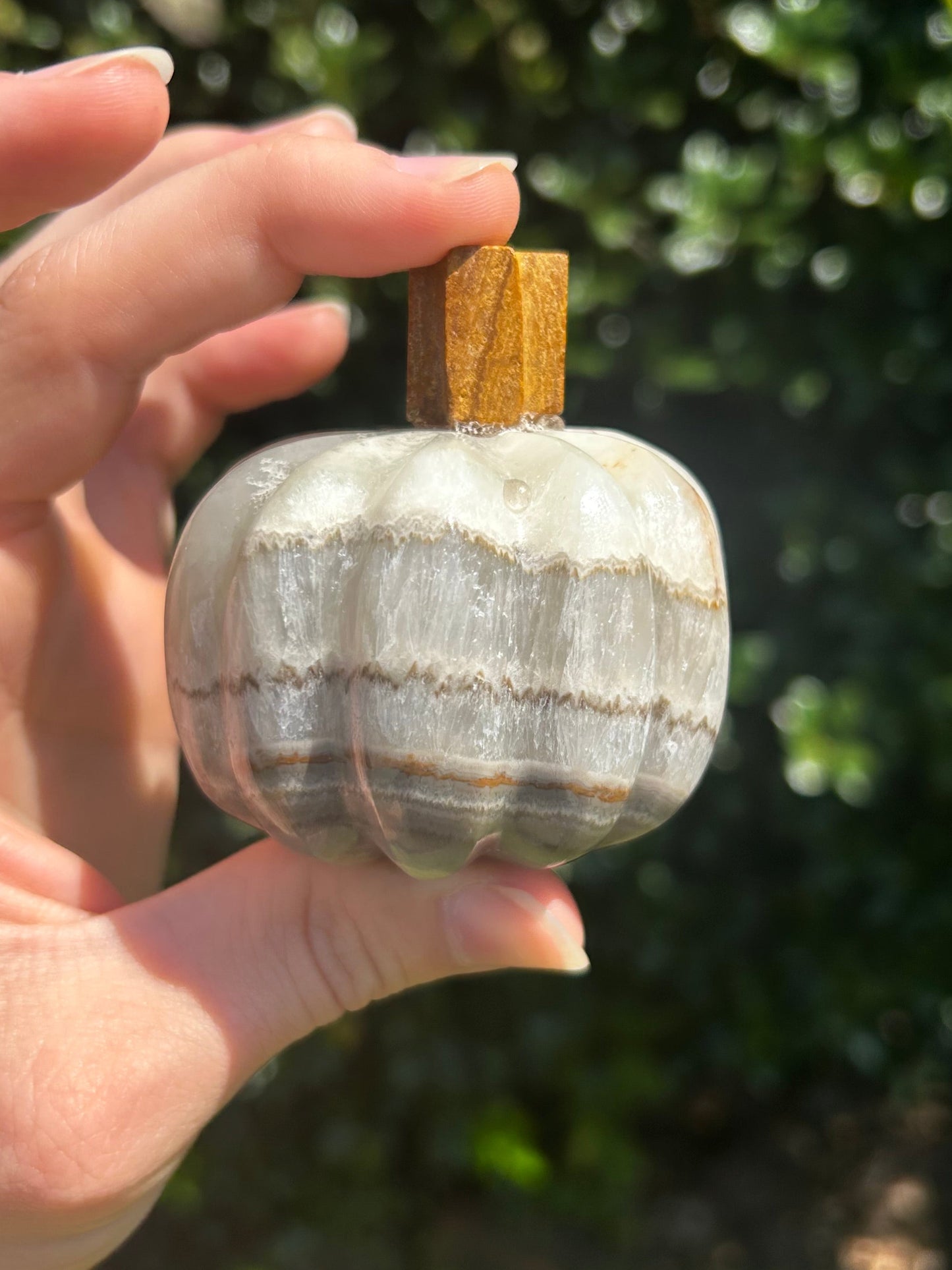 Onyx Pumpkins
