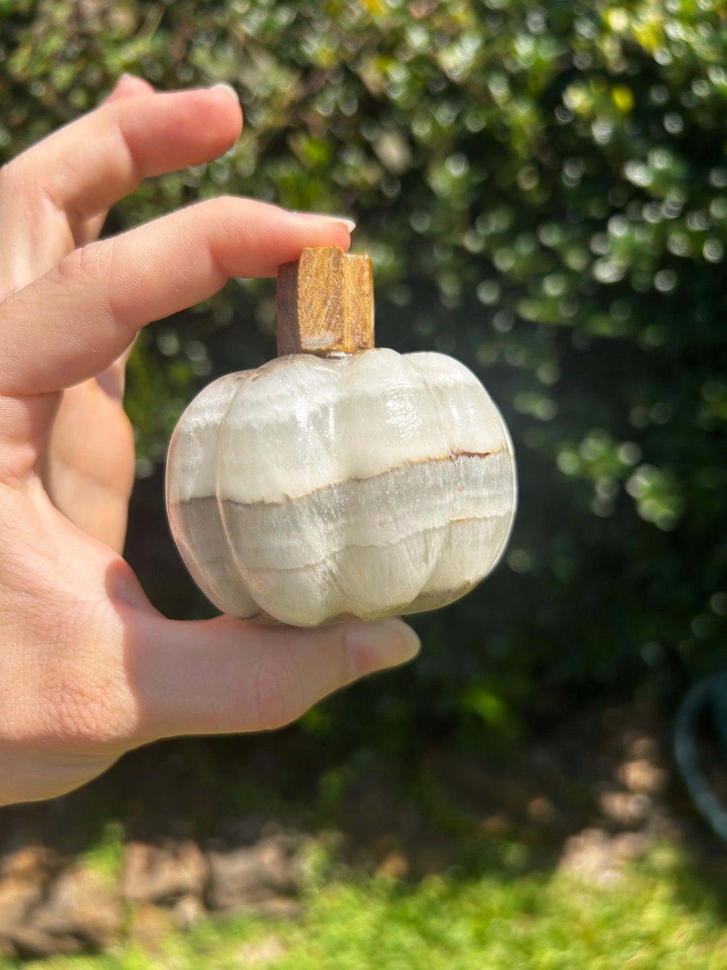 Onyx Pumpkins