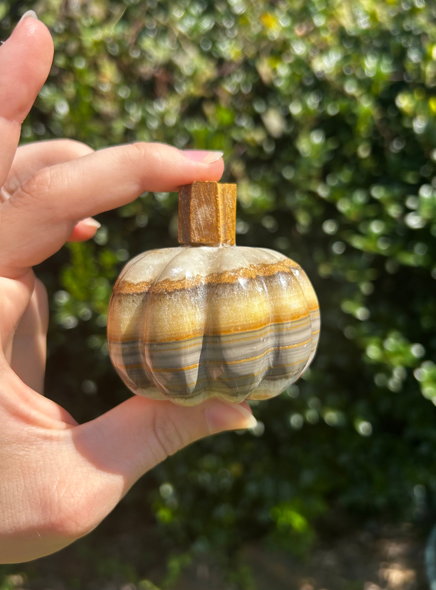 Onyx Pumpkins