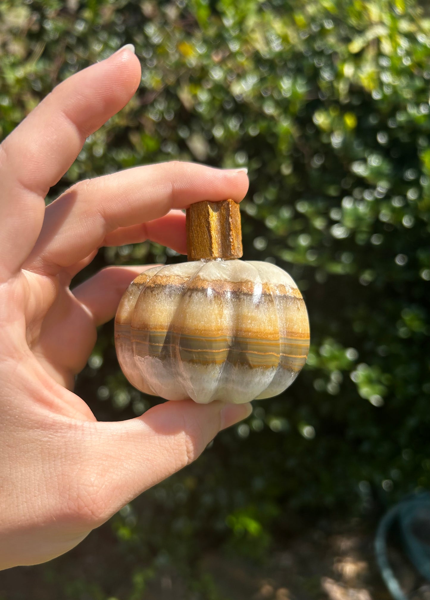Onyx Pumpkins