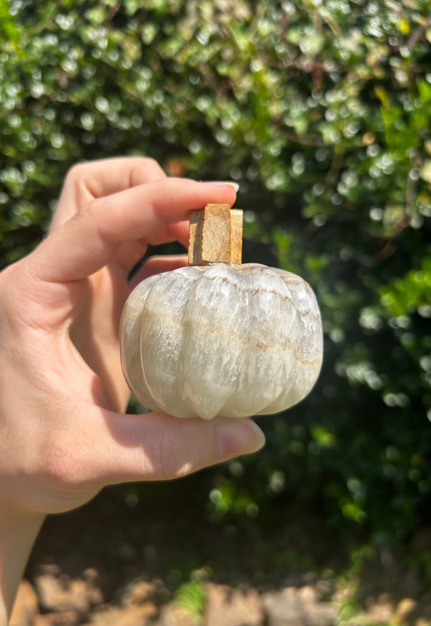 Onyx Pumpkins