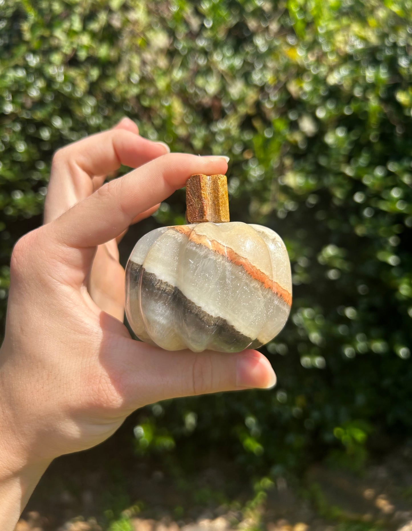 Onyx Pumpkins