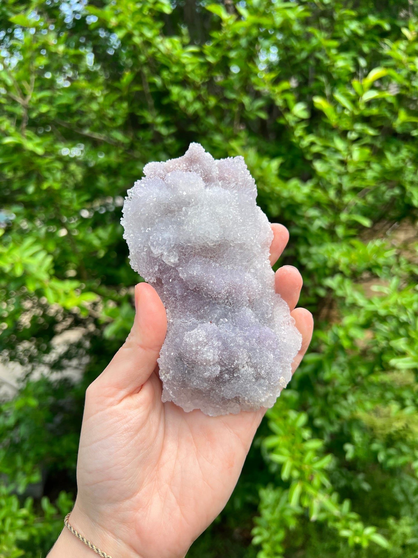 沸石自由形态