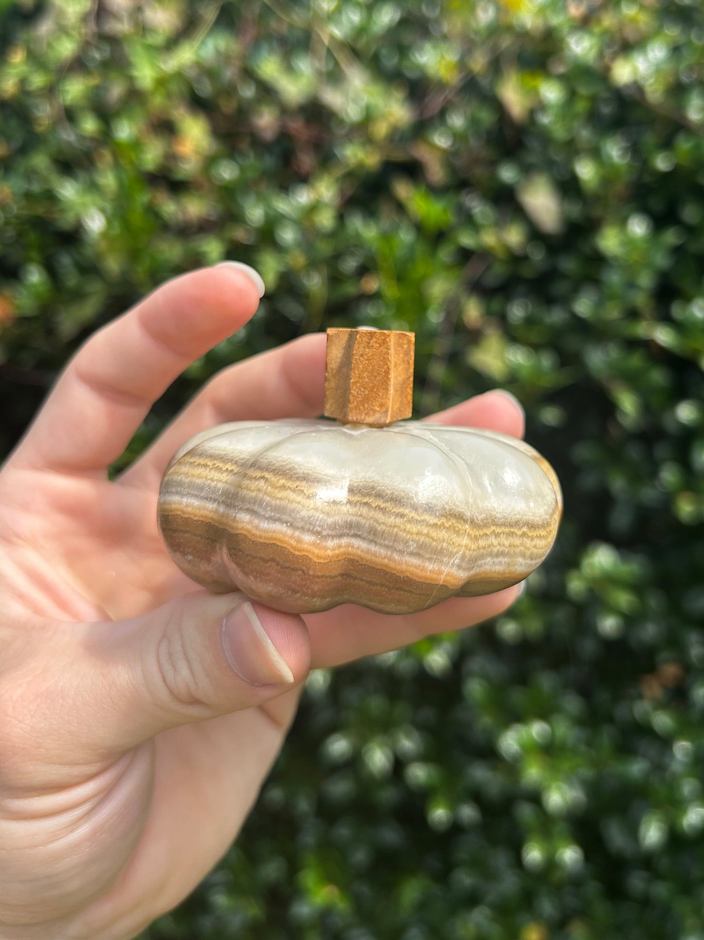 Onyx Pumpkins