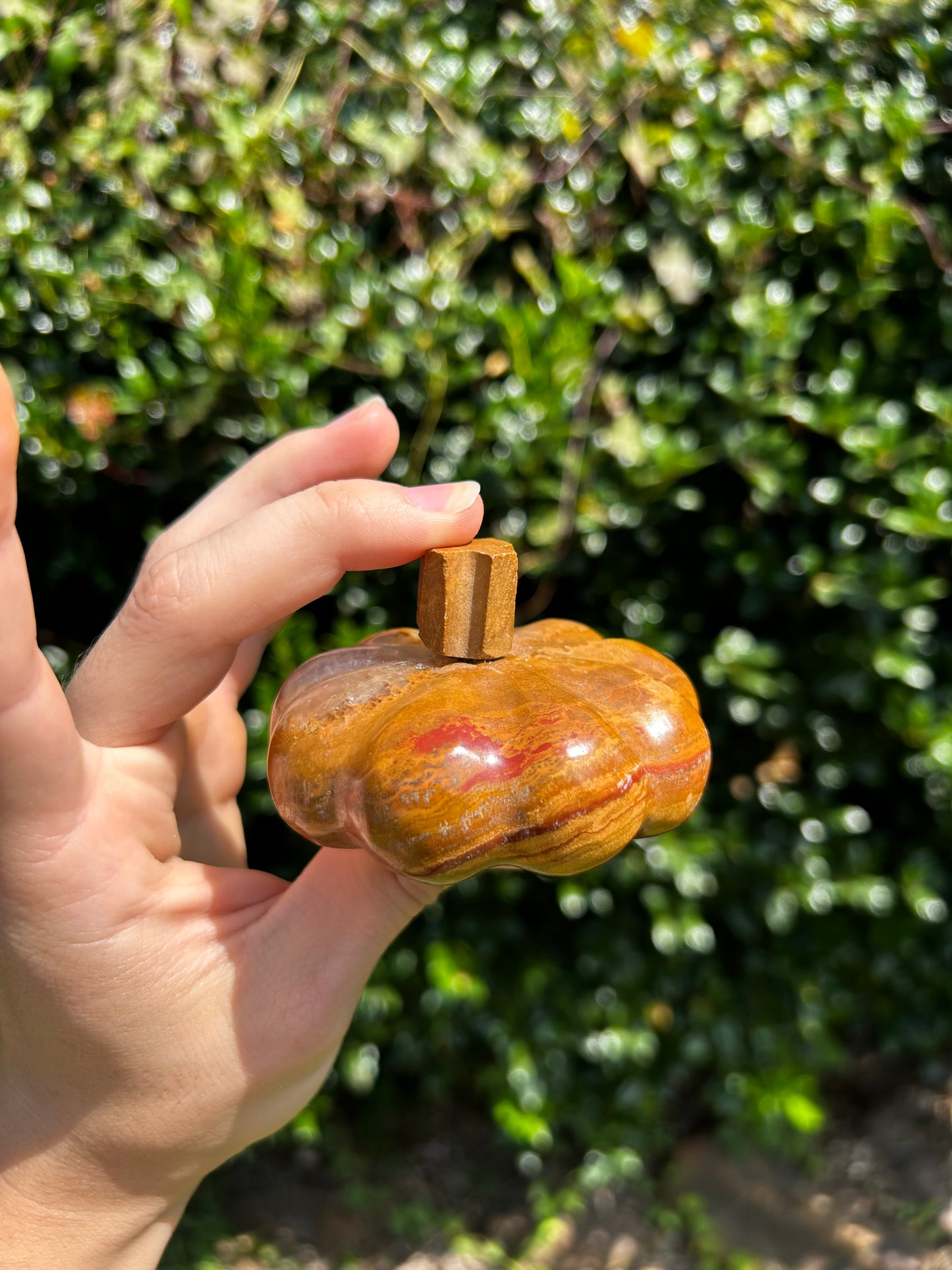 Onyx Pumpkins