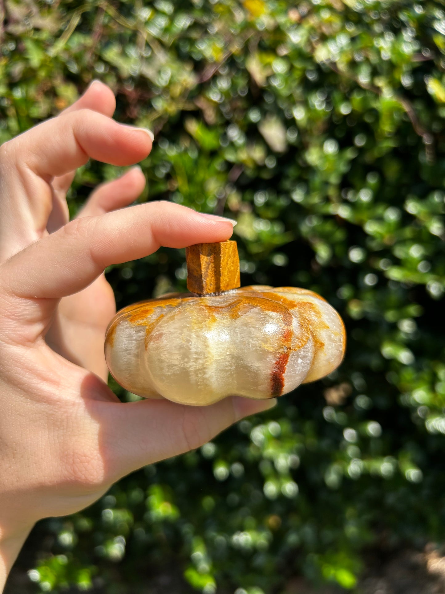 Onyx Pumpkins