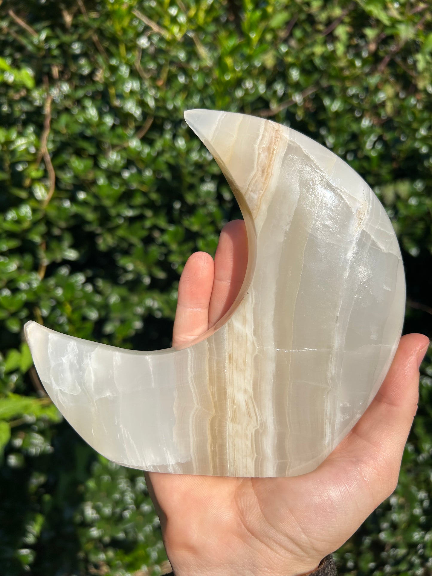 Onyx Moons