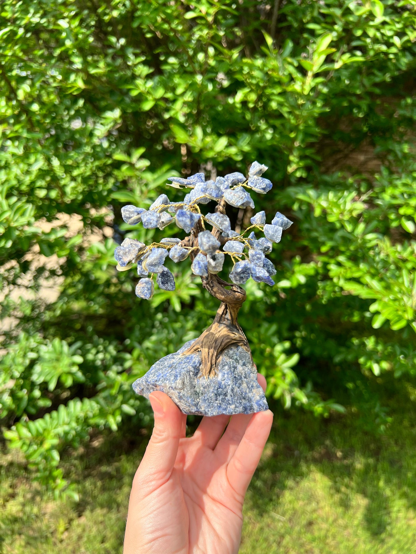 Crystal Trees