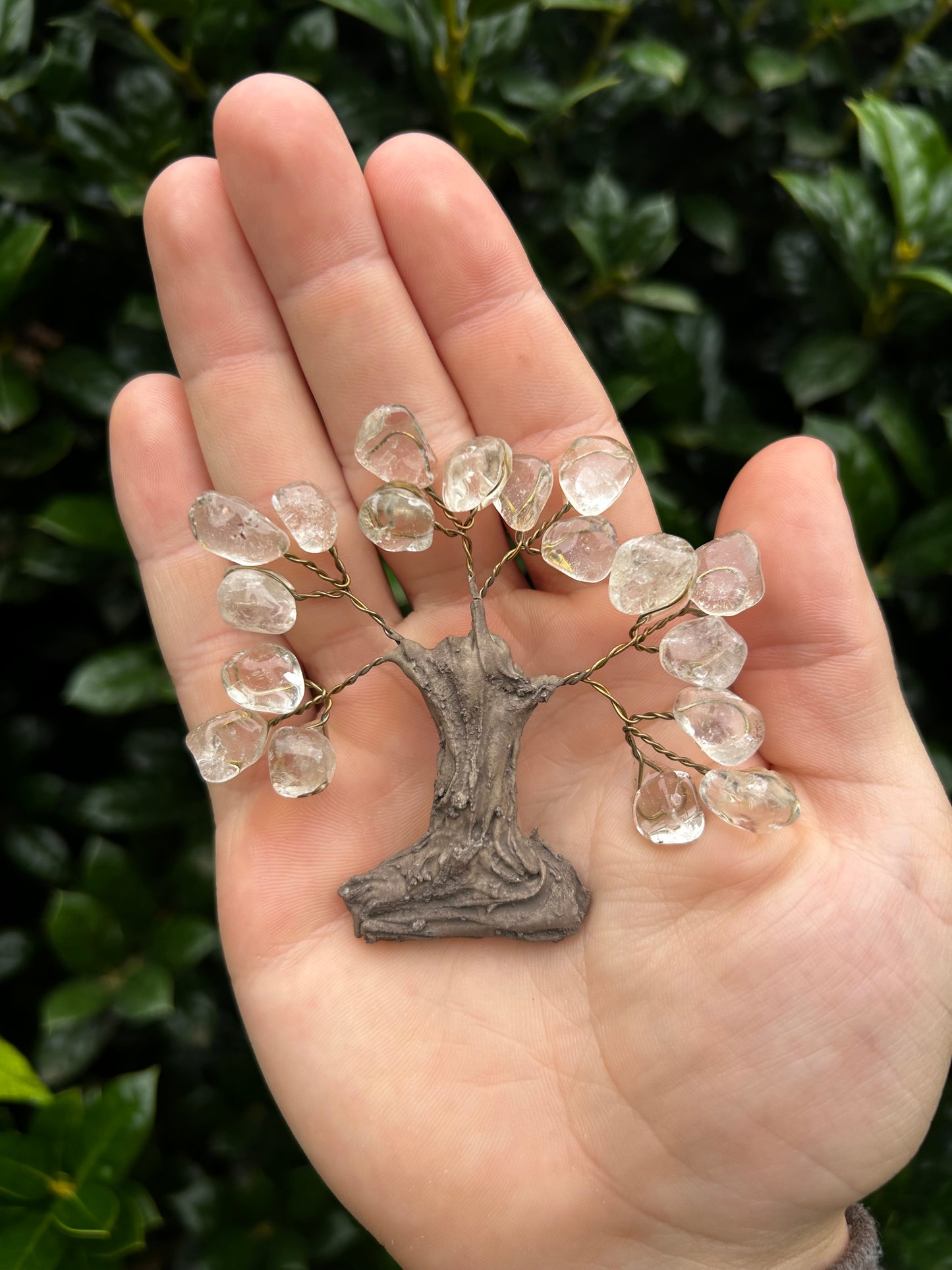 Crystal Tree Magnets