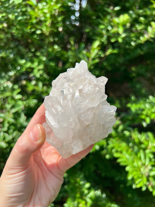 Clear Quartz Cluster