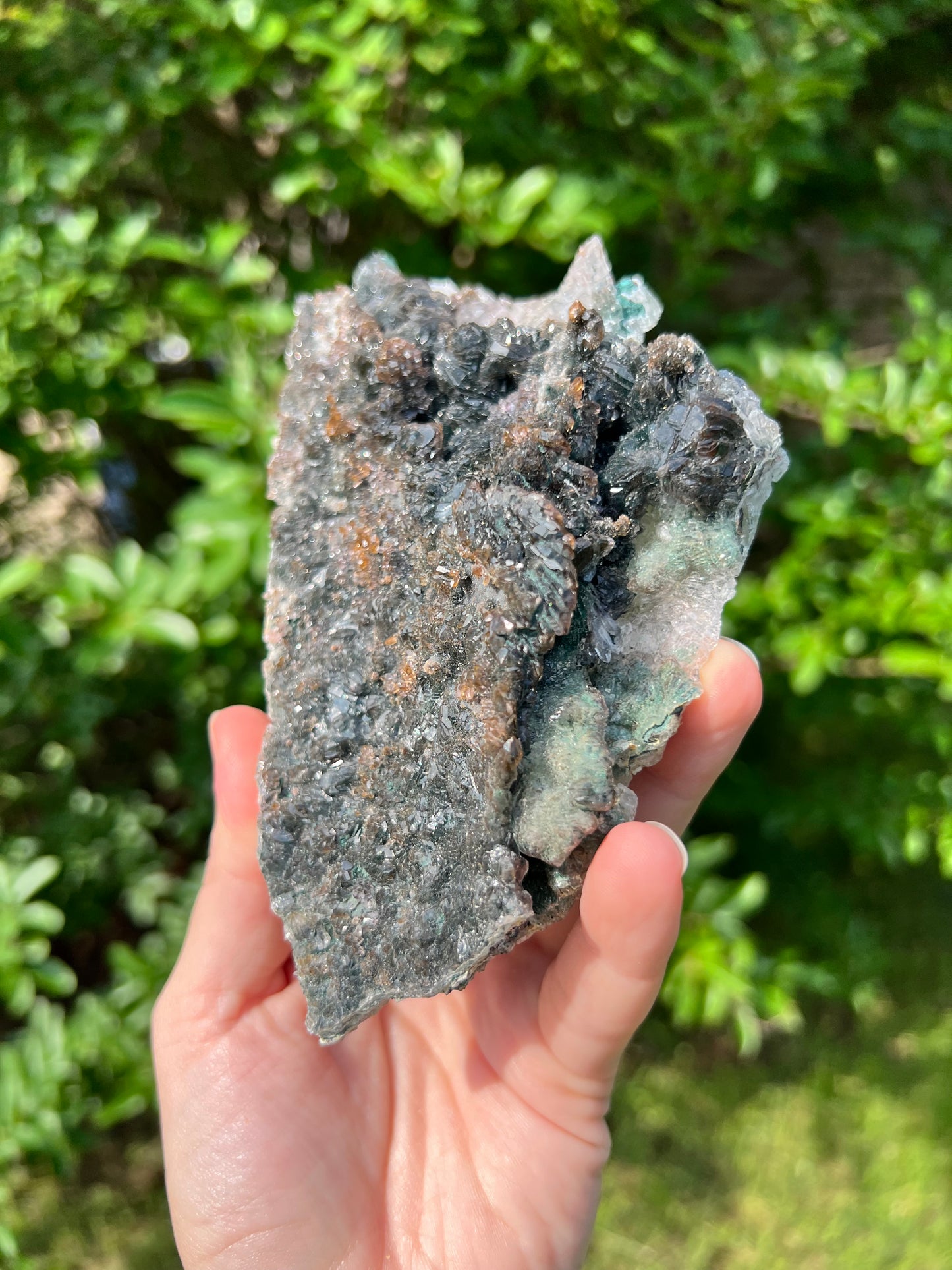 沸石自由形态