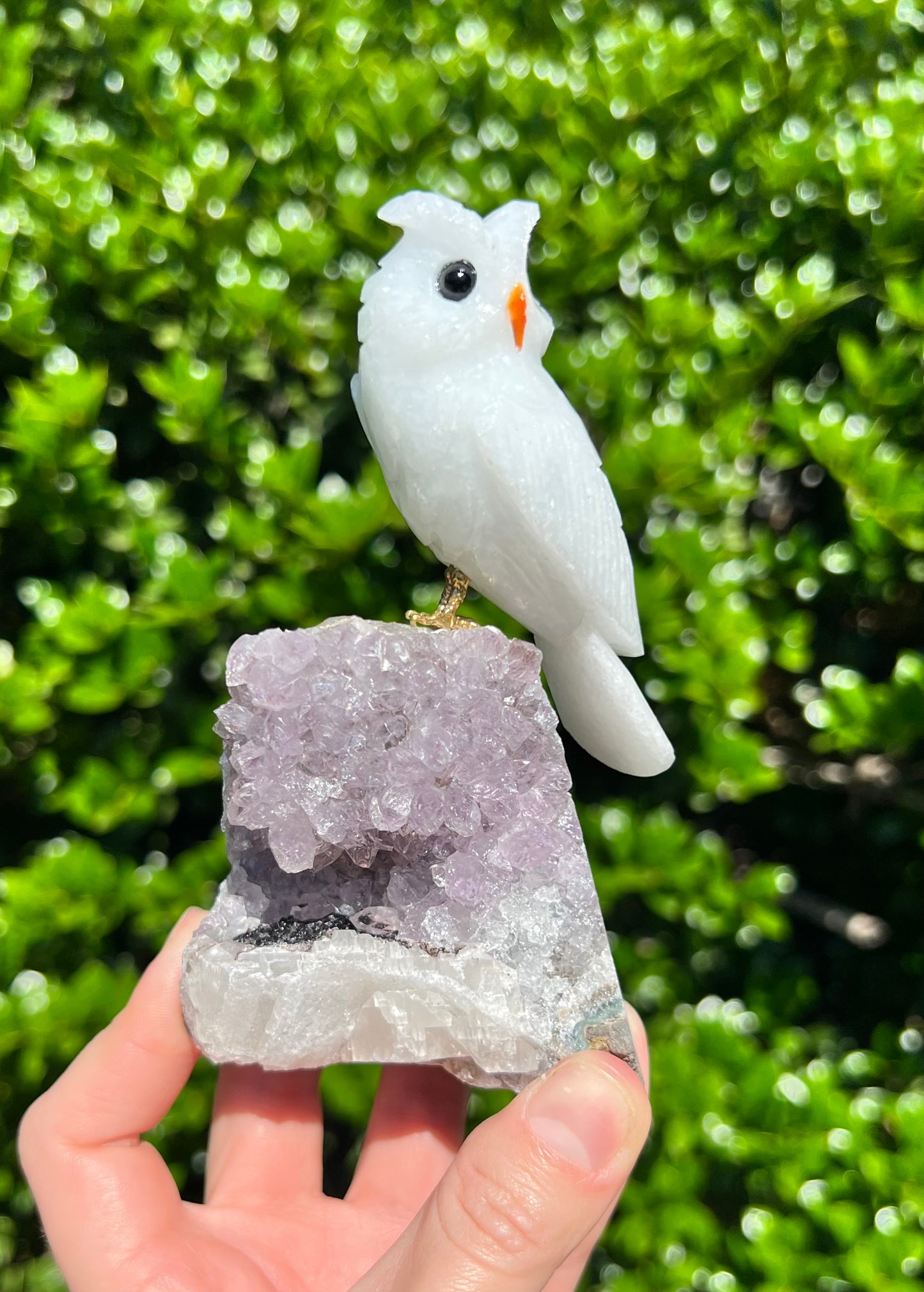 Pájaros de cristal