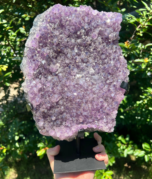 Amethyst Freeform on Stand