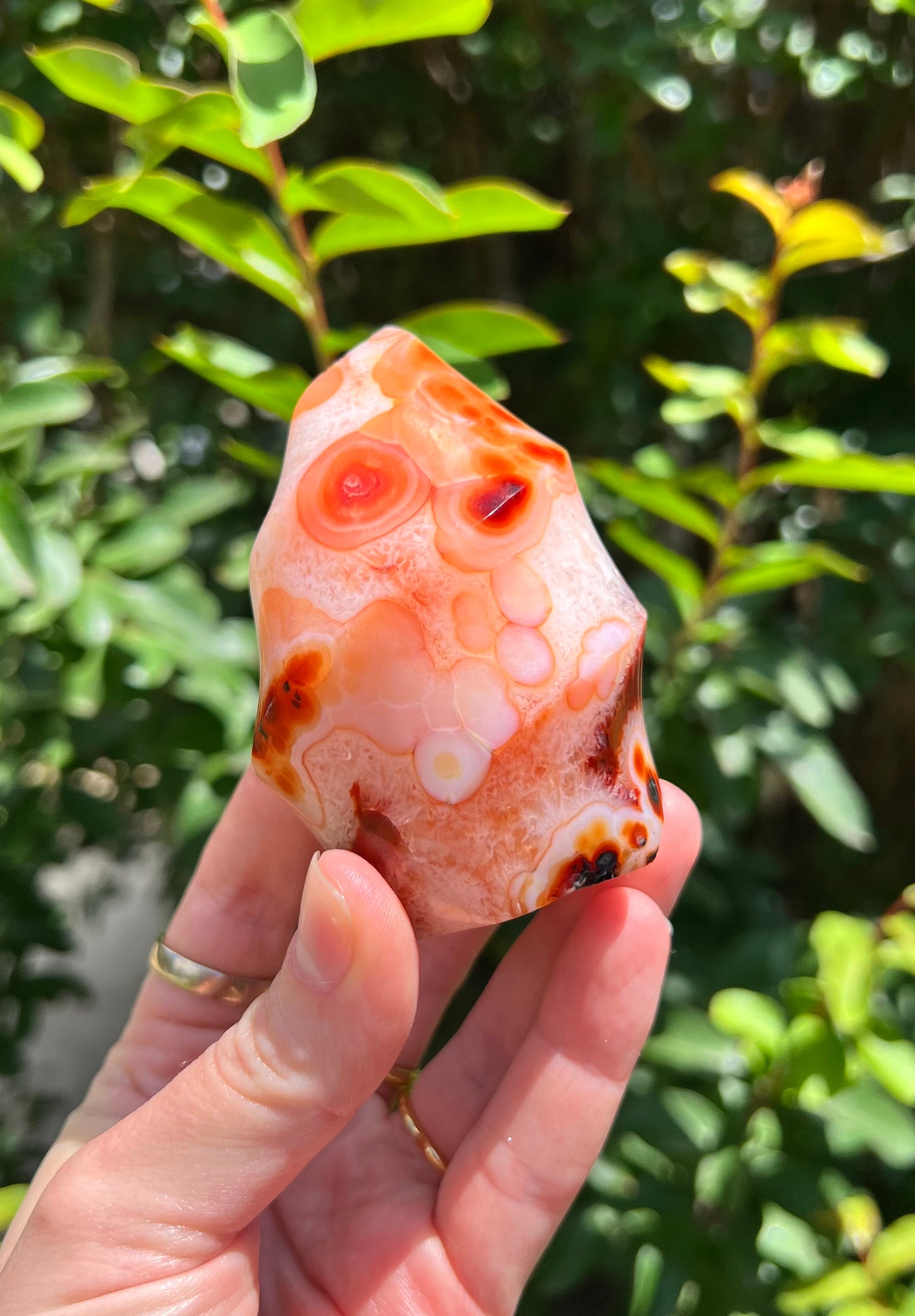 红玉心