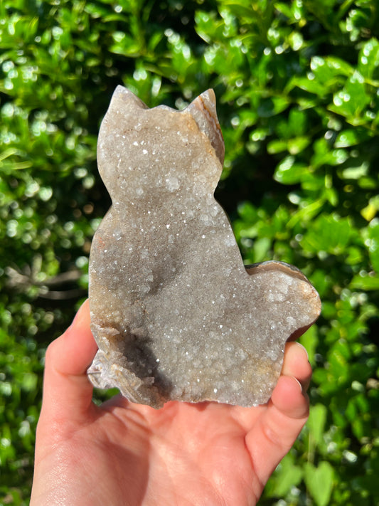 Agate Cats
