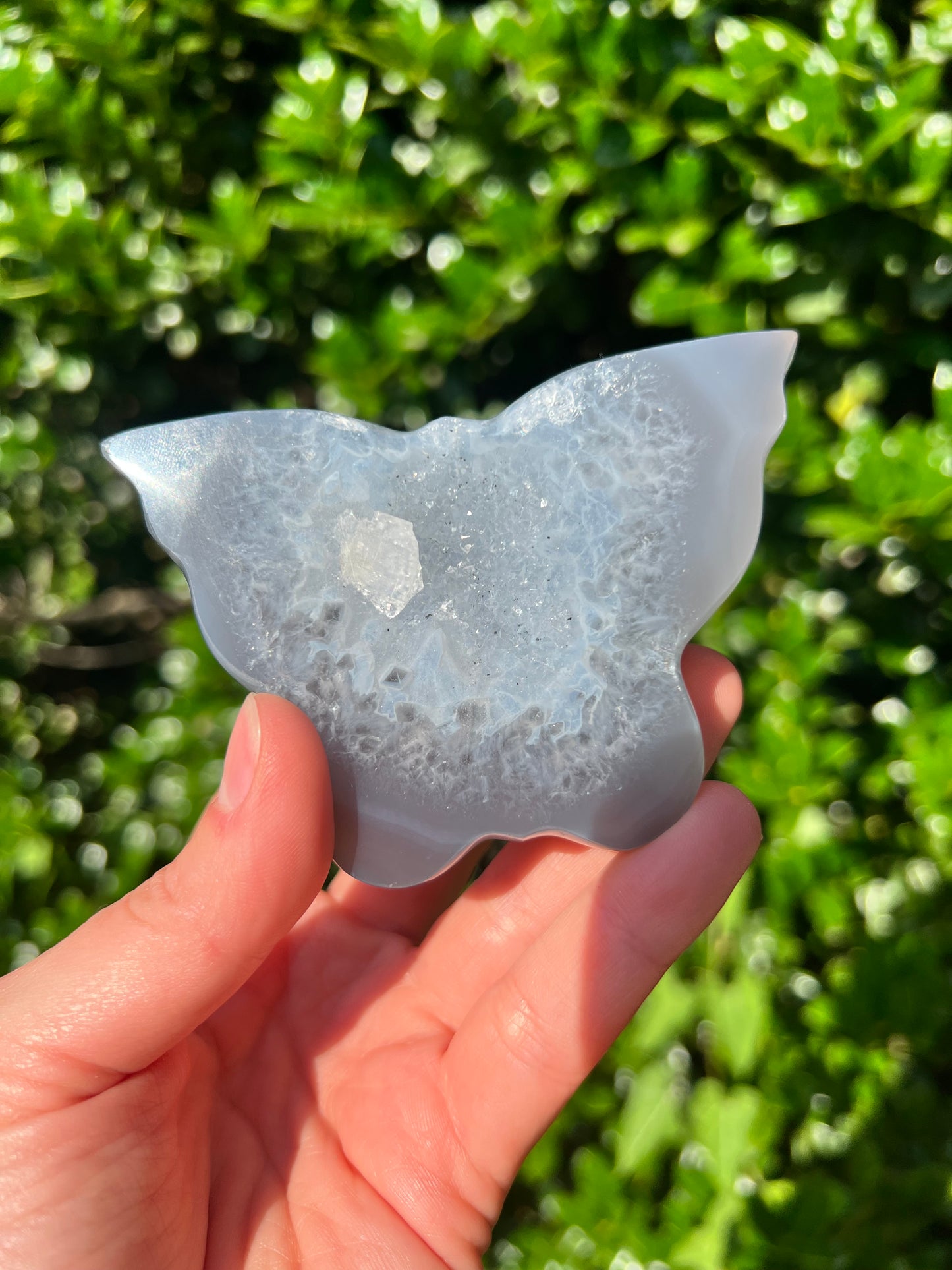 Agate Butterfly
