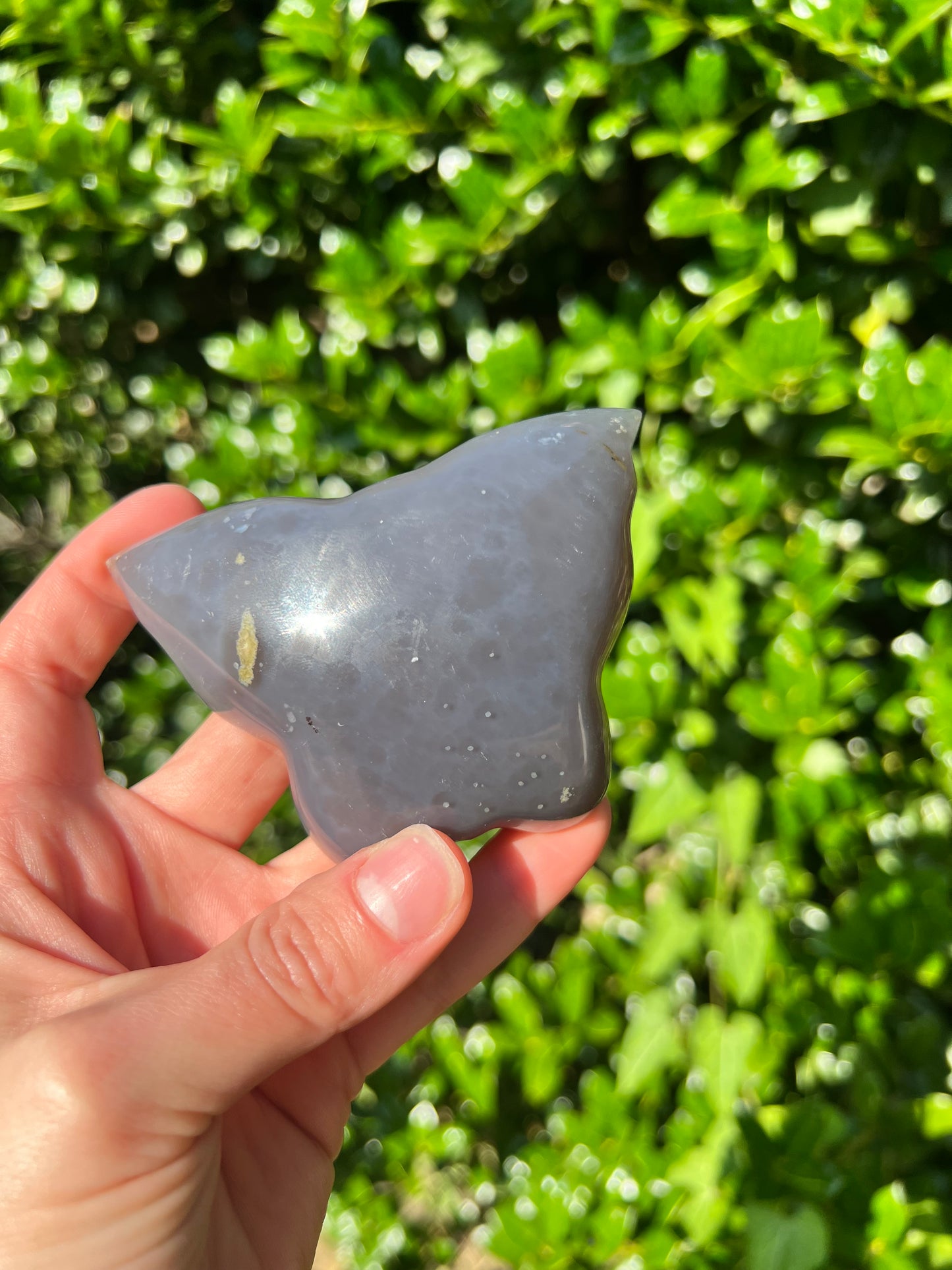 Agate Butterfly