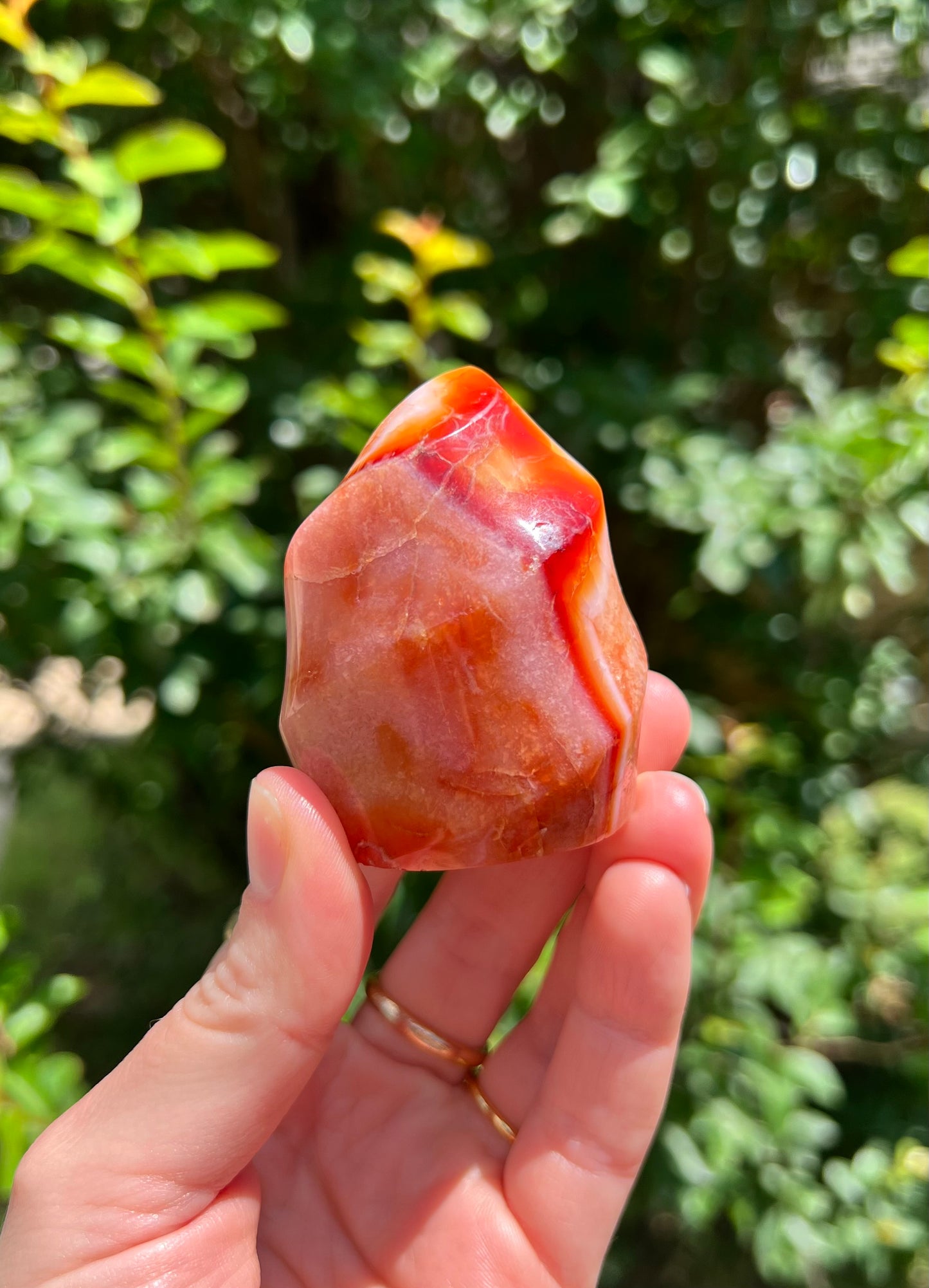 红玉心