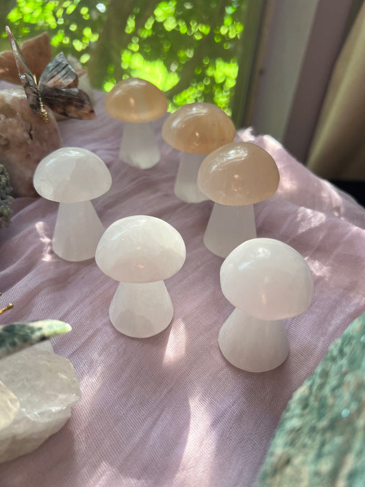Selenite Mushrooms