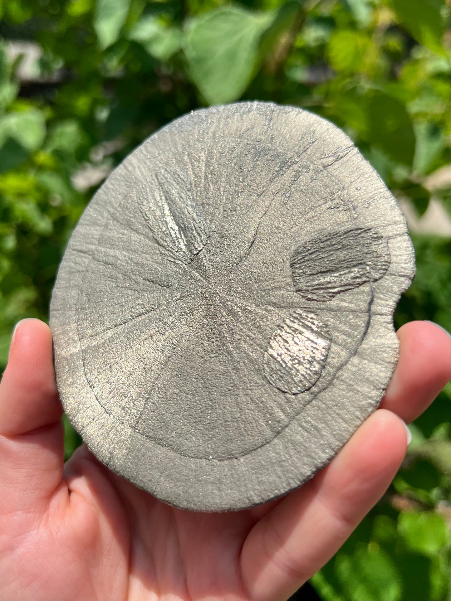 Pyrite Suns