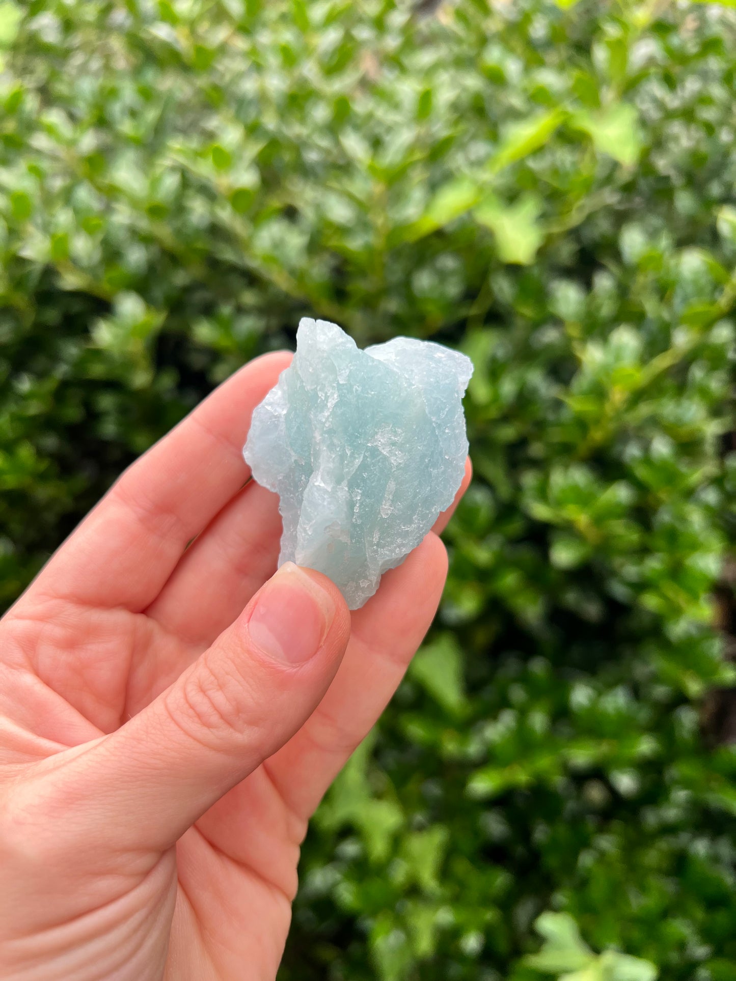 Aquamarine Freeforms - Unique Specimens