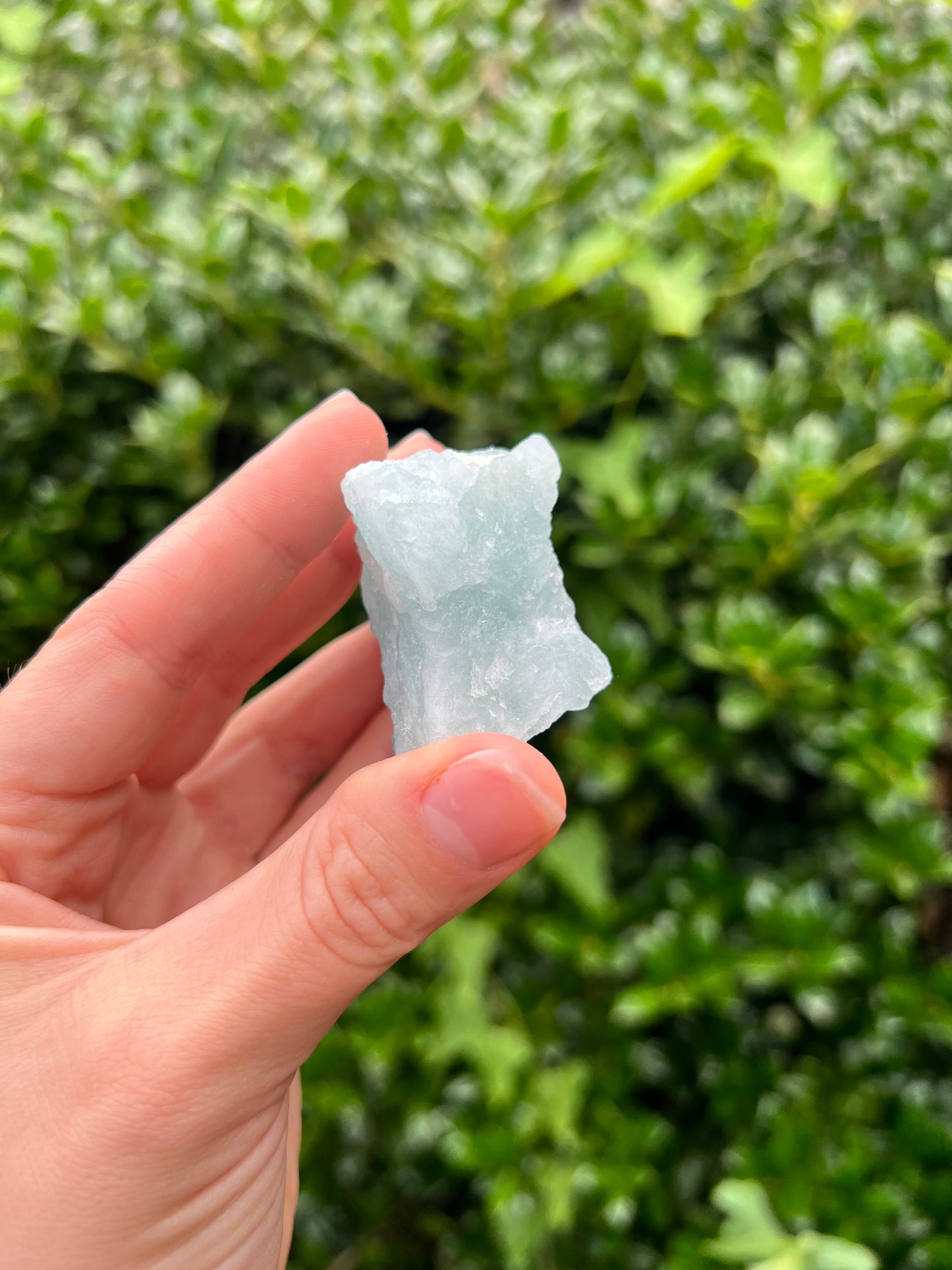 Aquamarine Freeforms - Unique Specimens