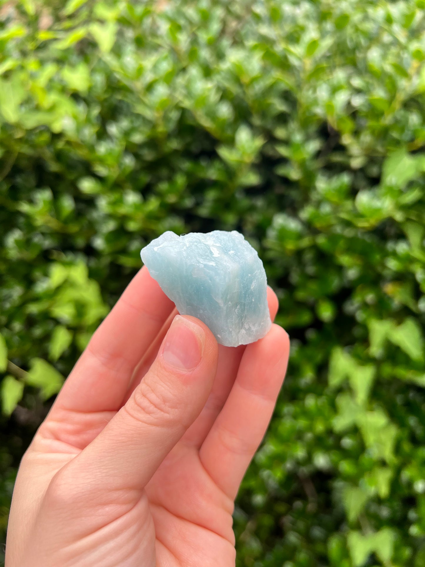 Aquamarine Freeforms - Unique Specimens