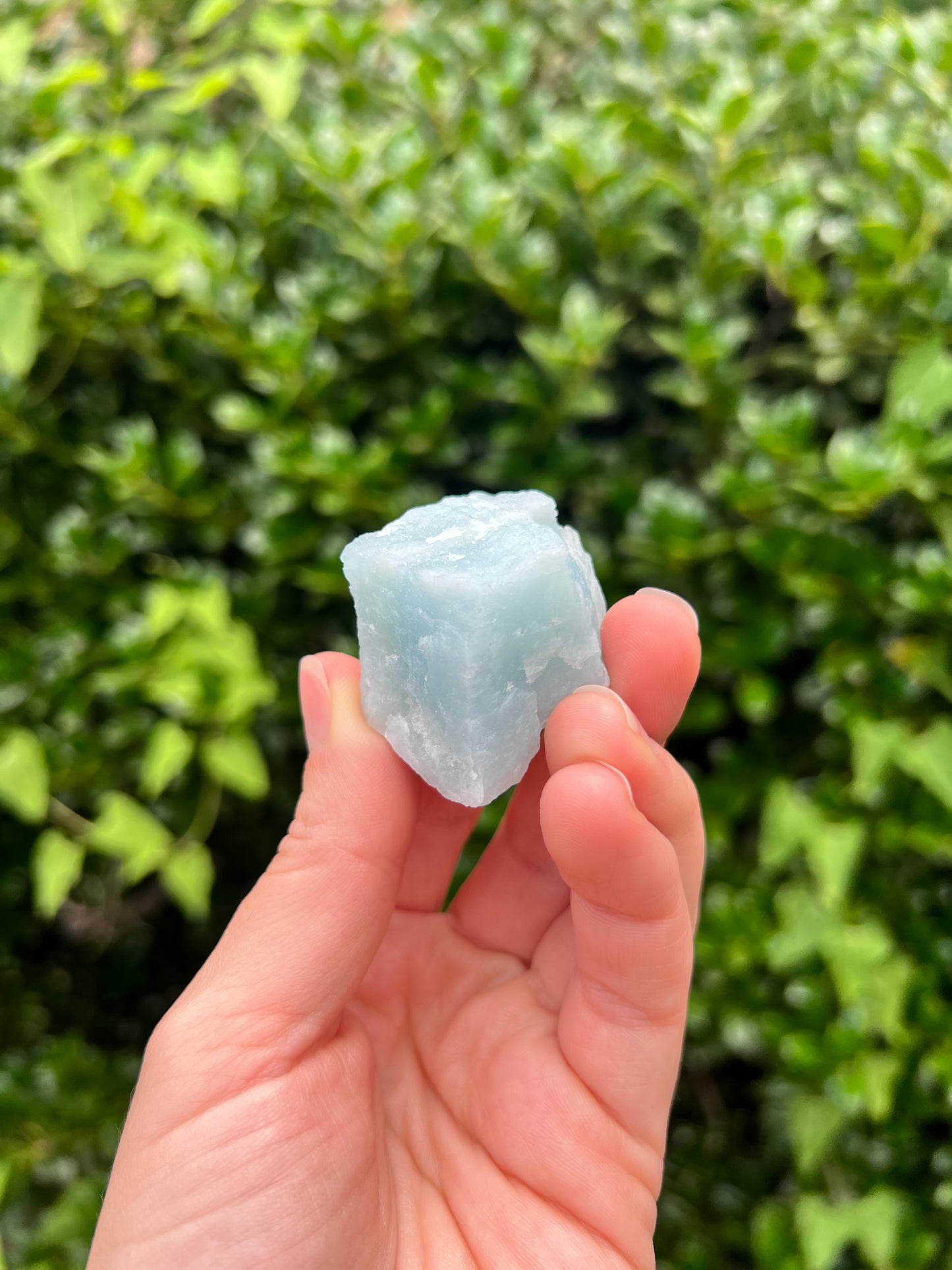 Aquamarine Freeforms - Unique Specimens