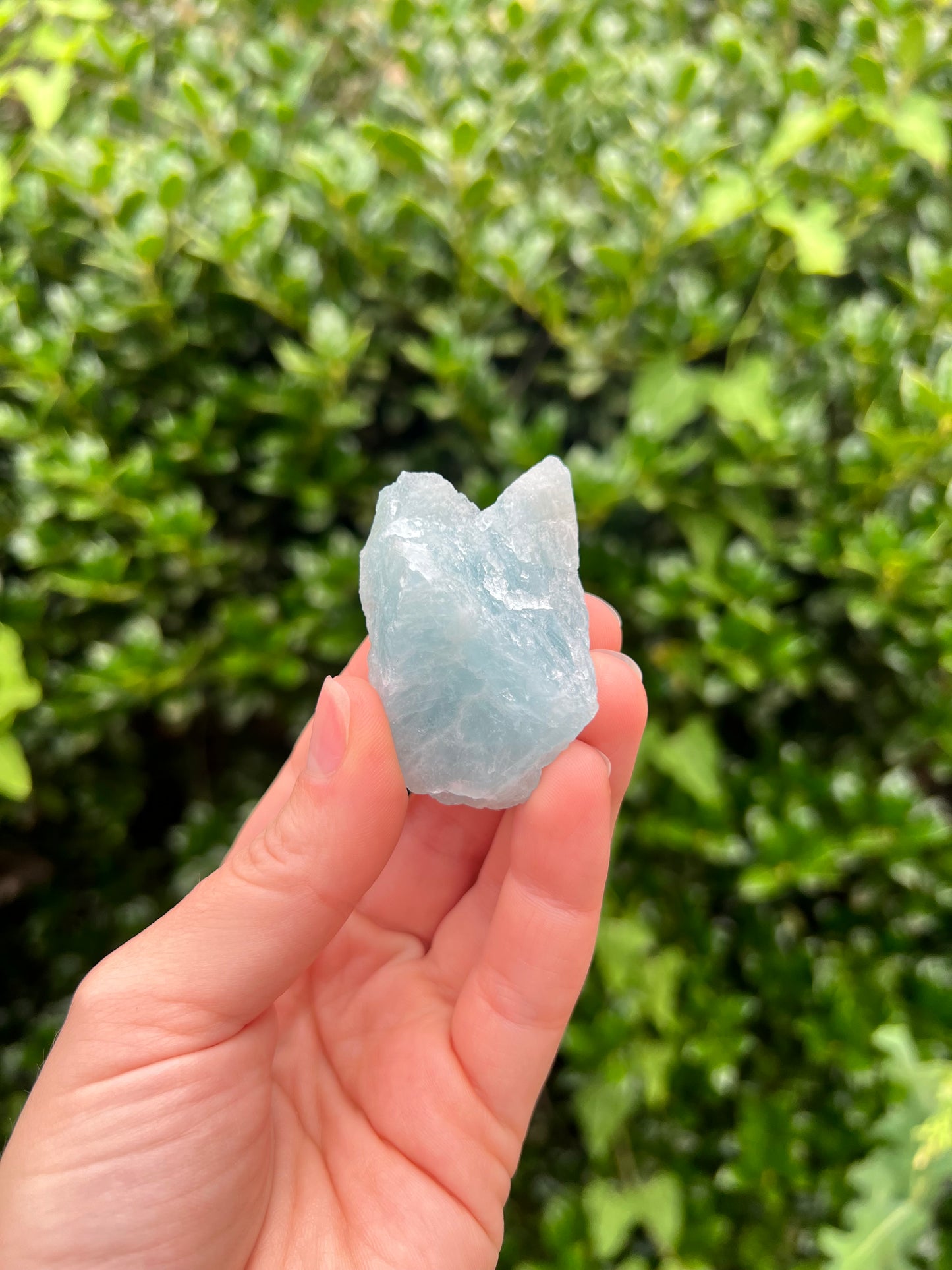 Aquamarine Freeforms - Unique Specimens