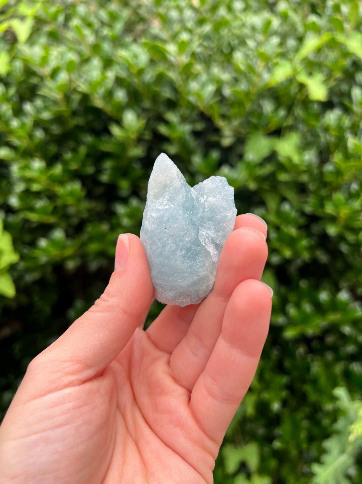 Aquamarine Freeforms - Unique Specimens