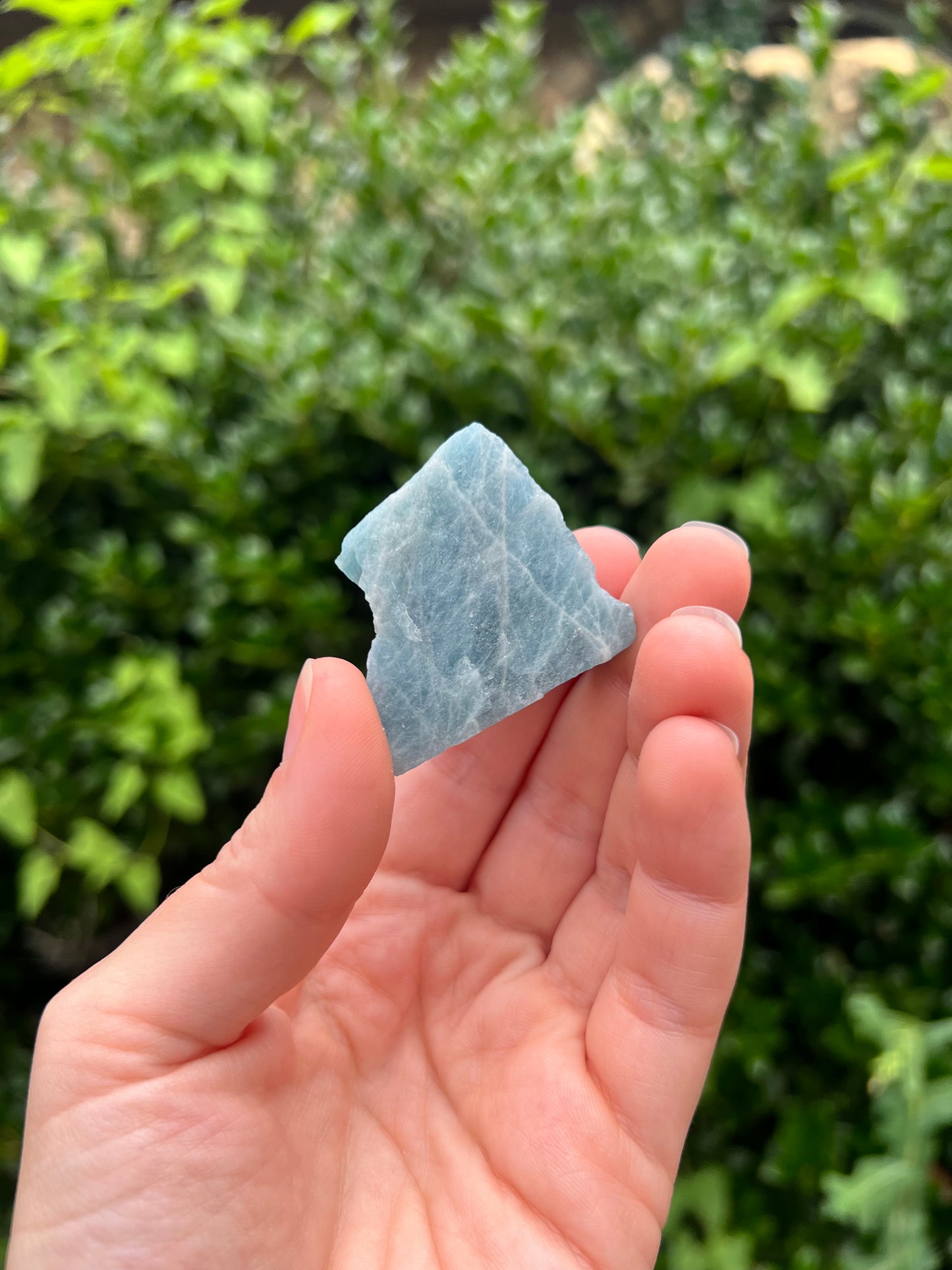Aquamarine Freeforms - Unique Specimens