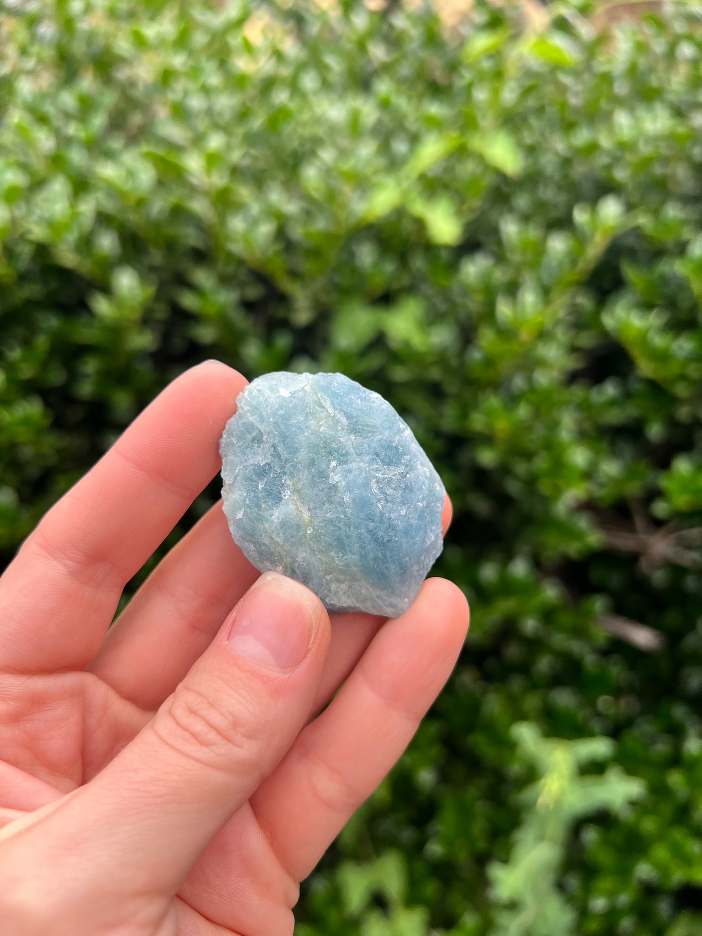 Aquamarine Freeforms - Unique Specimens