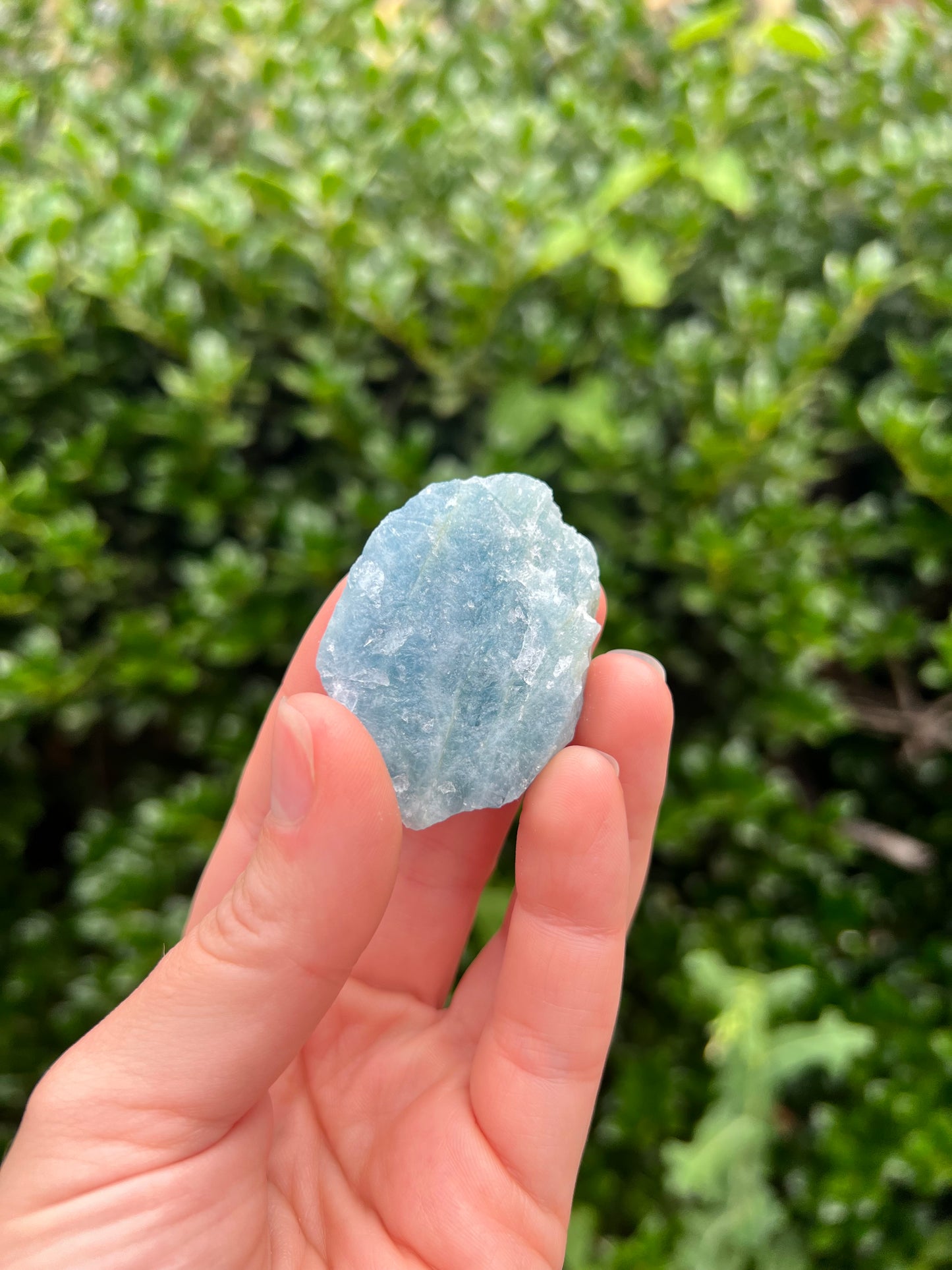 Aquamarine Freeforms - Unique Specimens