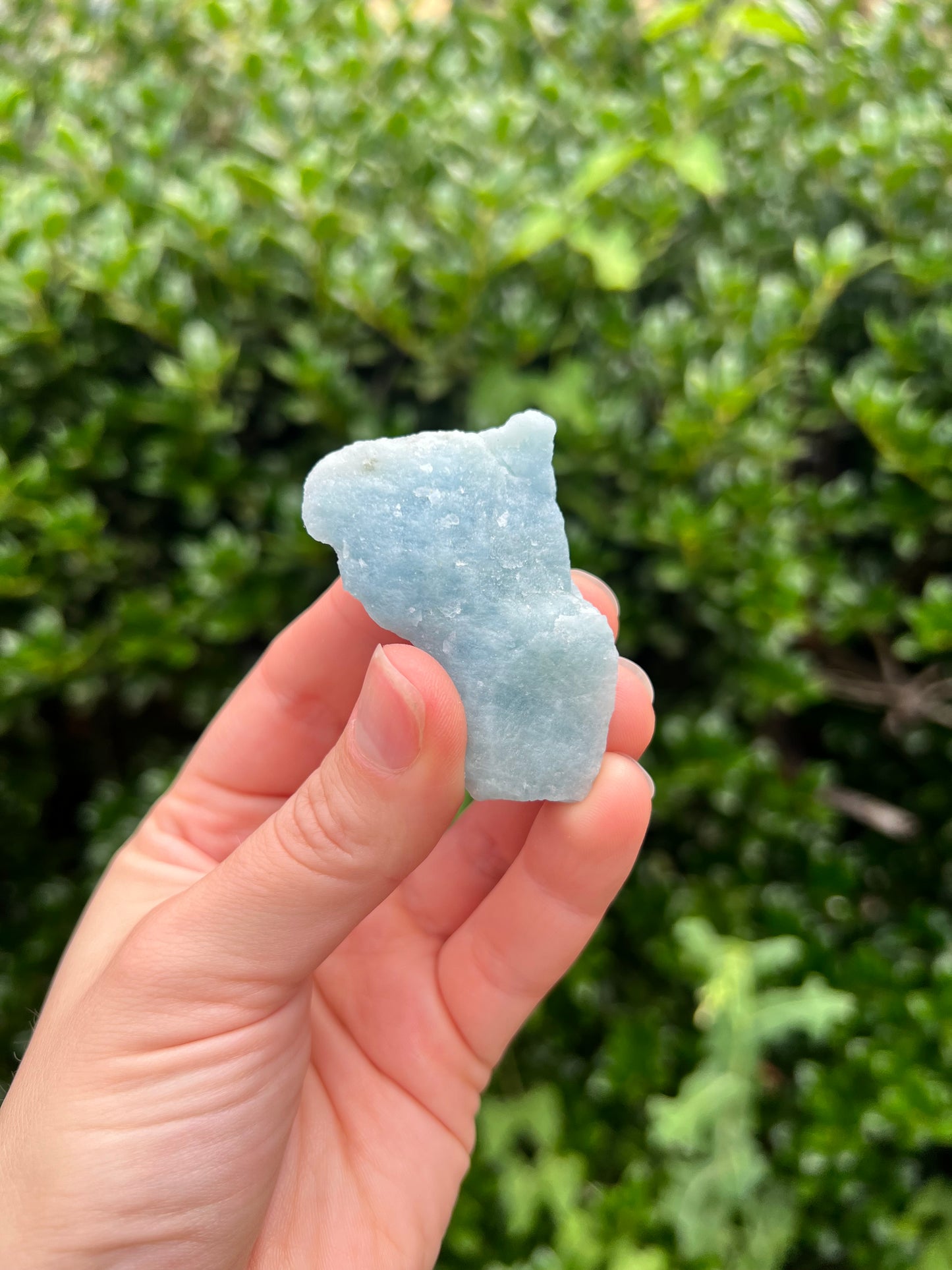 Aquamarine Freeforms - Unique Specimens