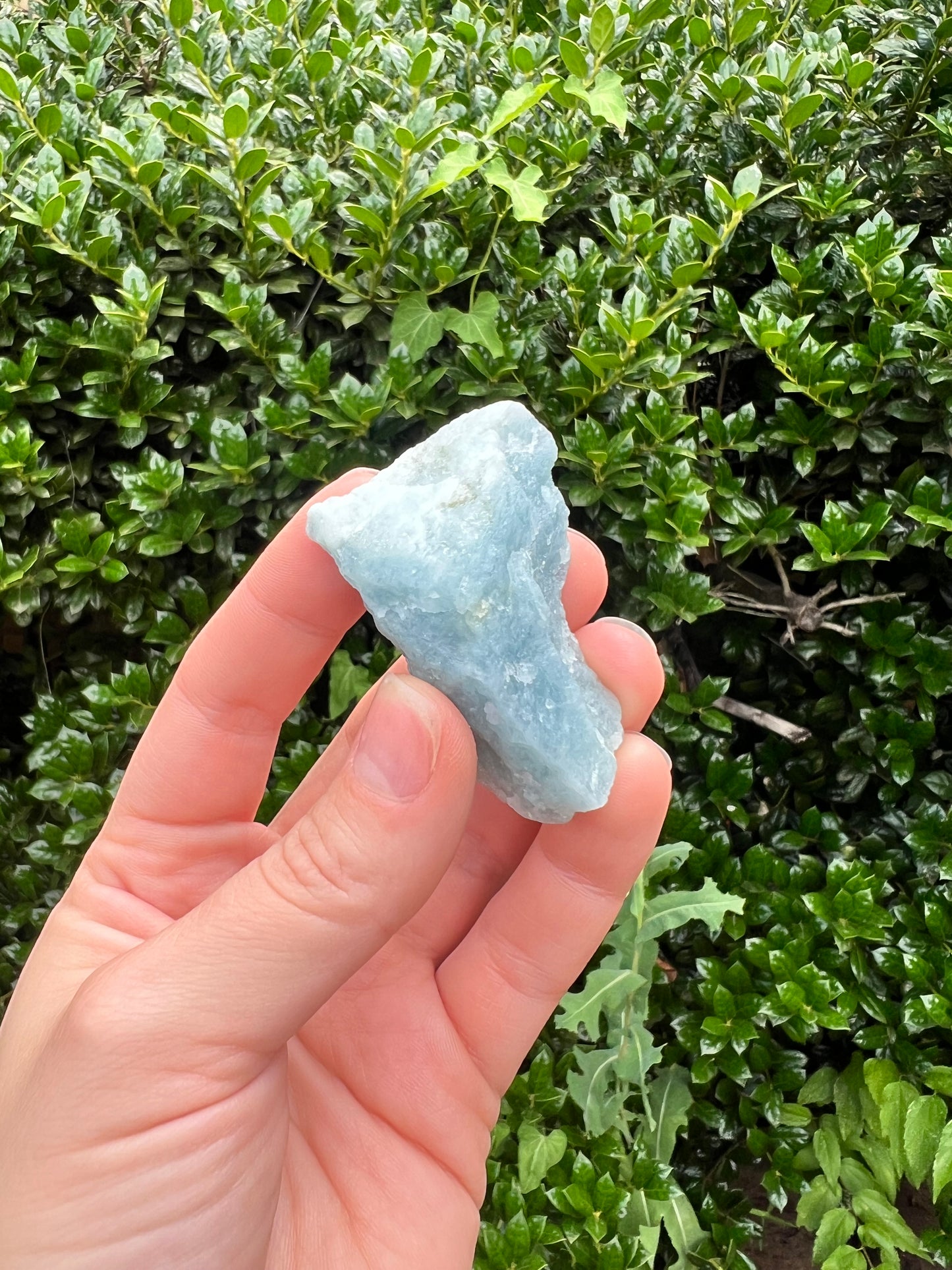 Aquamarine Freeforms - Unique Specimens