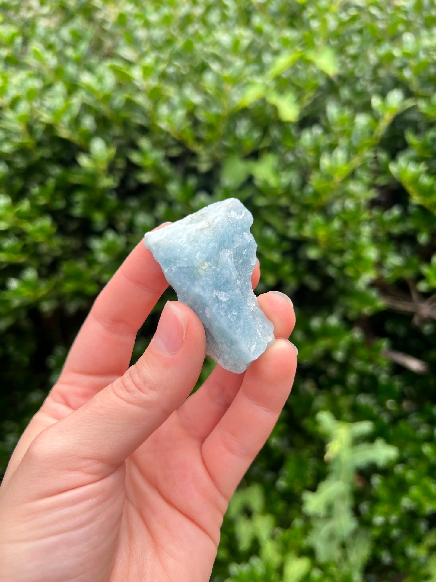Aquamarine Freeforms - Unique Specimens