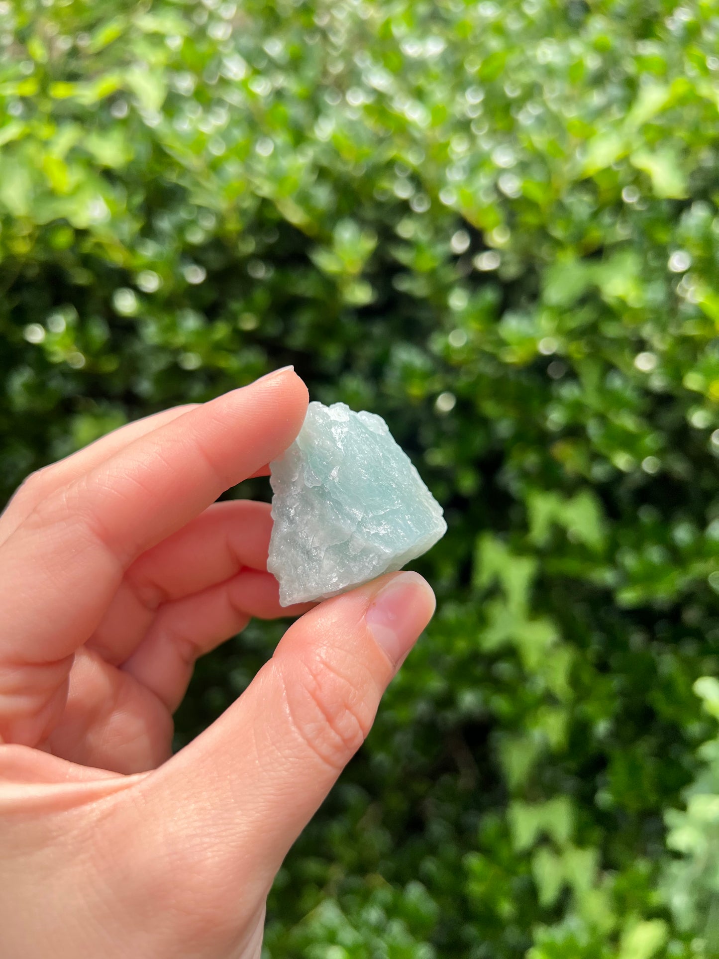 Aquamarine Freeforms - Unique Specimens