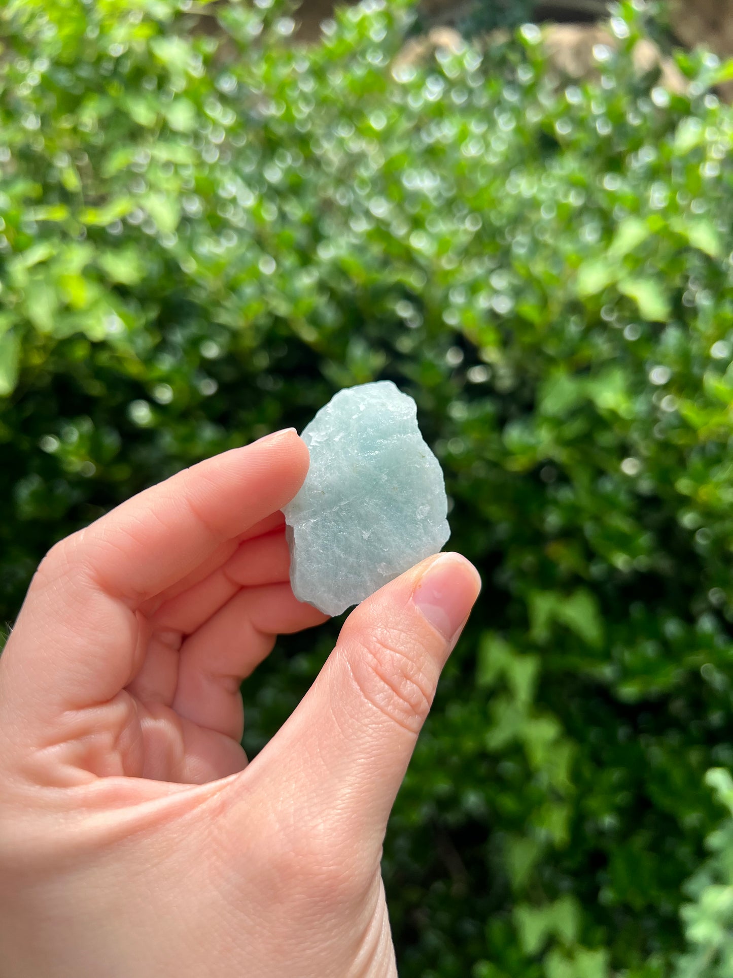 Aquamarine Freeforms - Unique Specimens