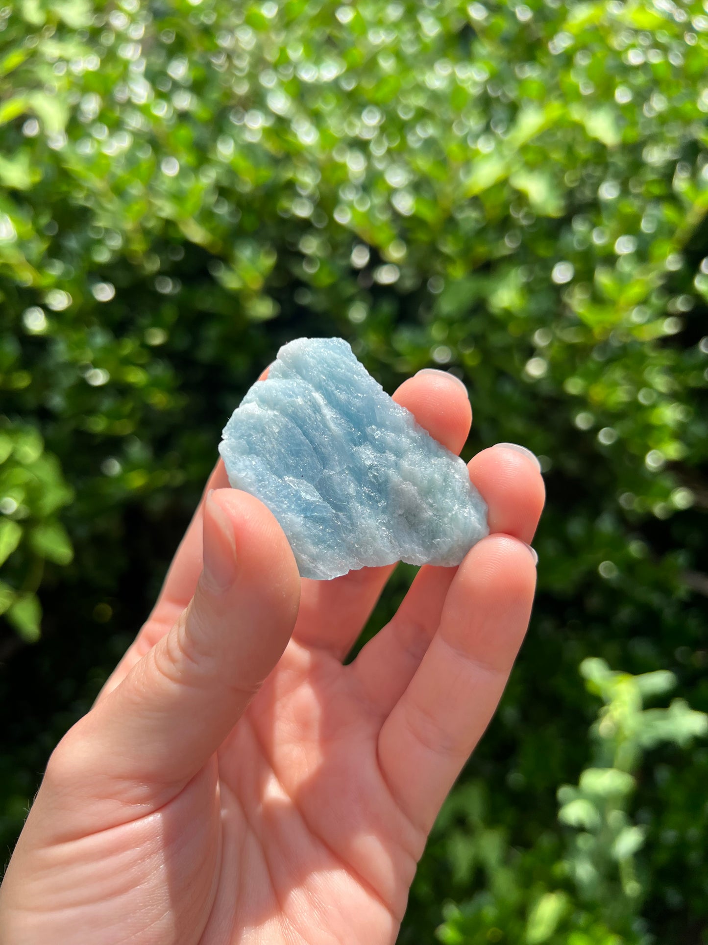 Aquamarine Freeforms - Unique Specimens