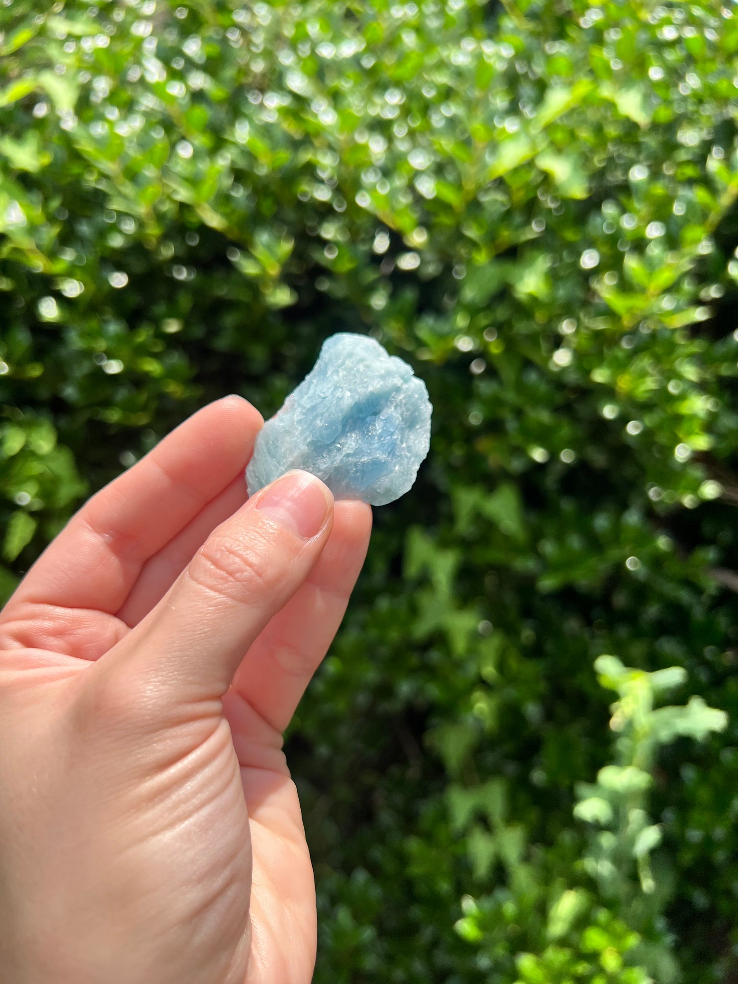 Aquamarine Freeforms - Unique Specimens