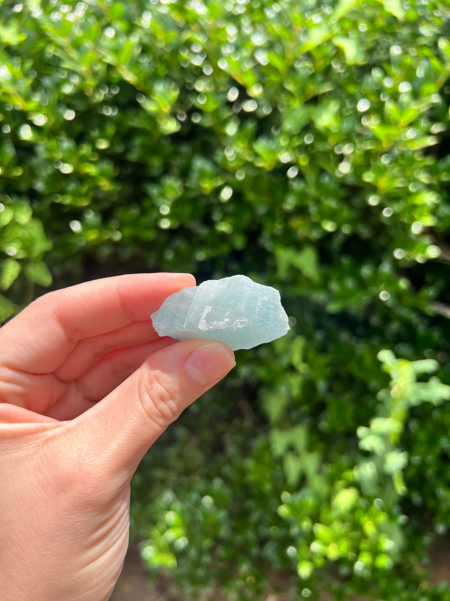Aquamarine Freeforms - Unique Specimens