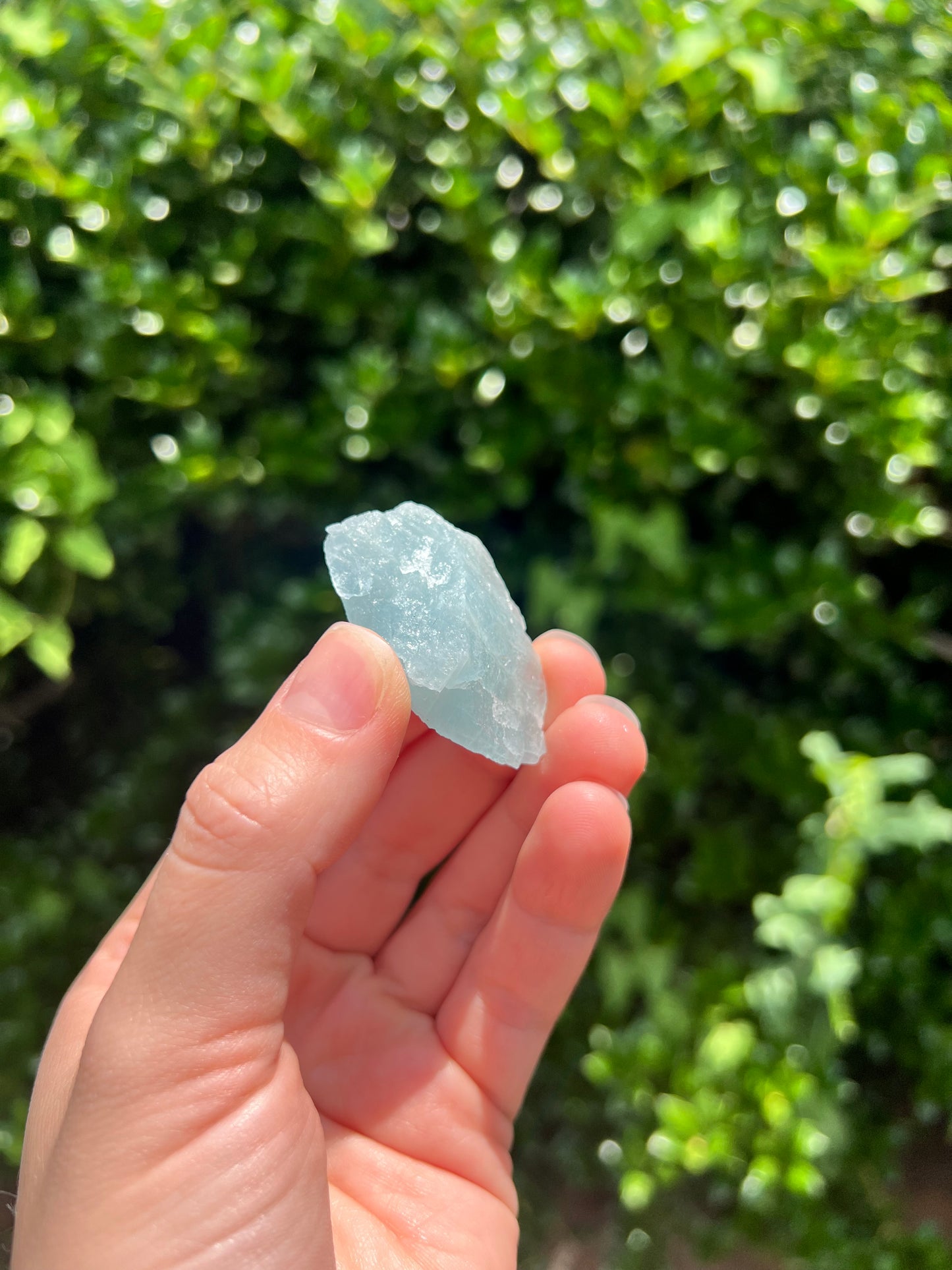 Aquamarine Freeforms - Unique Specimens