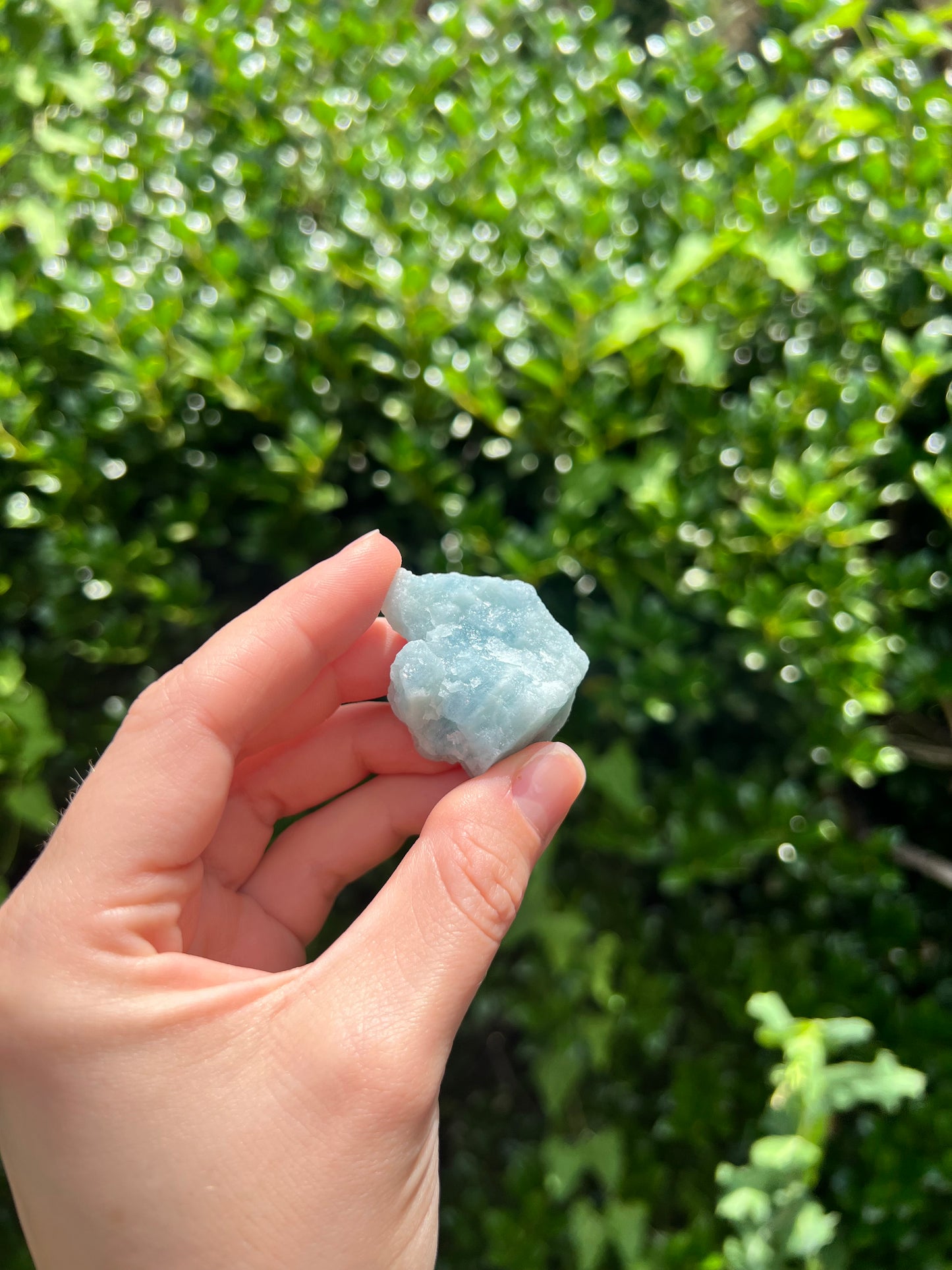 Aquamarine Freeforms - Unique Specimens