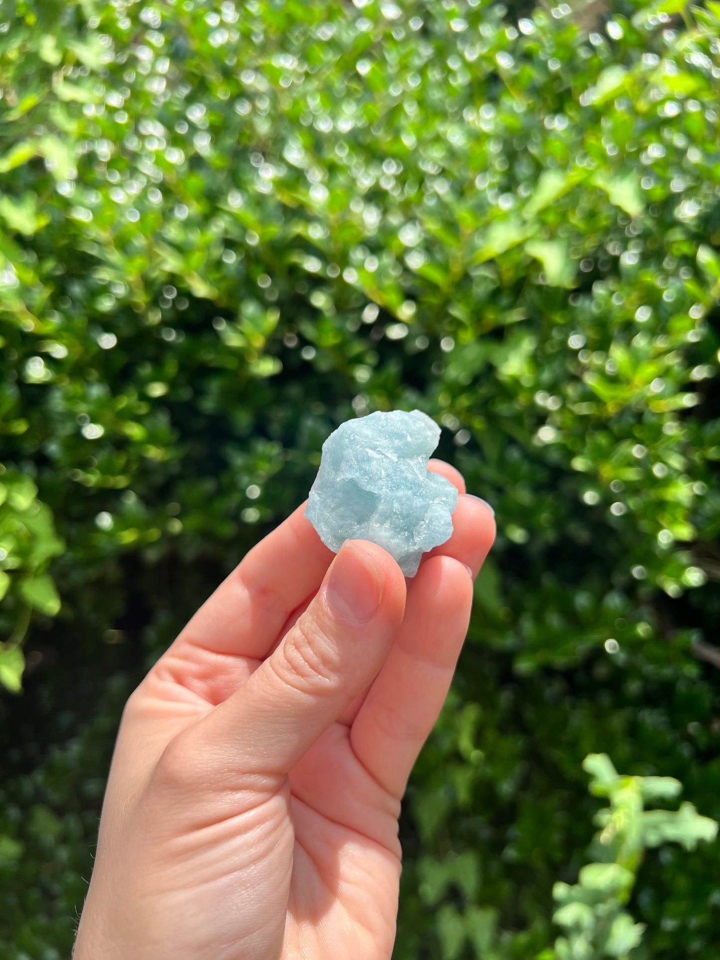 Aquamarine Freeforms - Unique Specimens