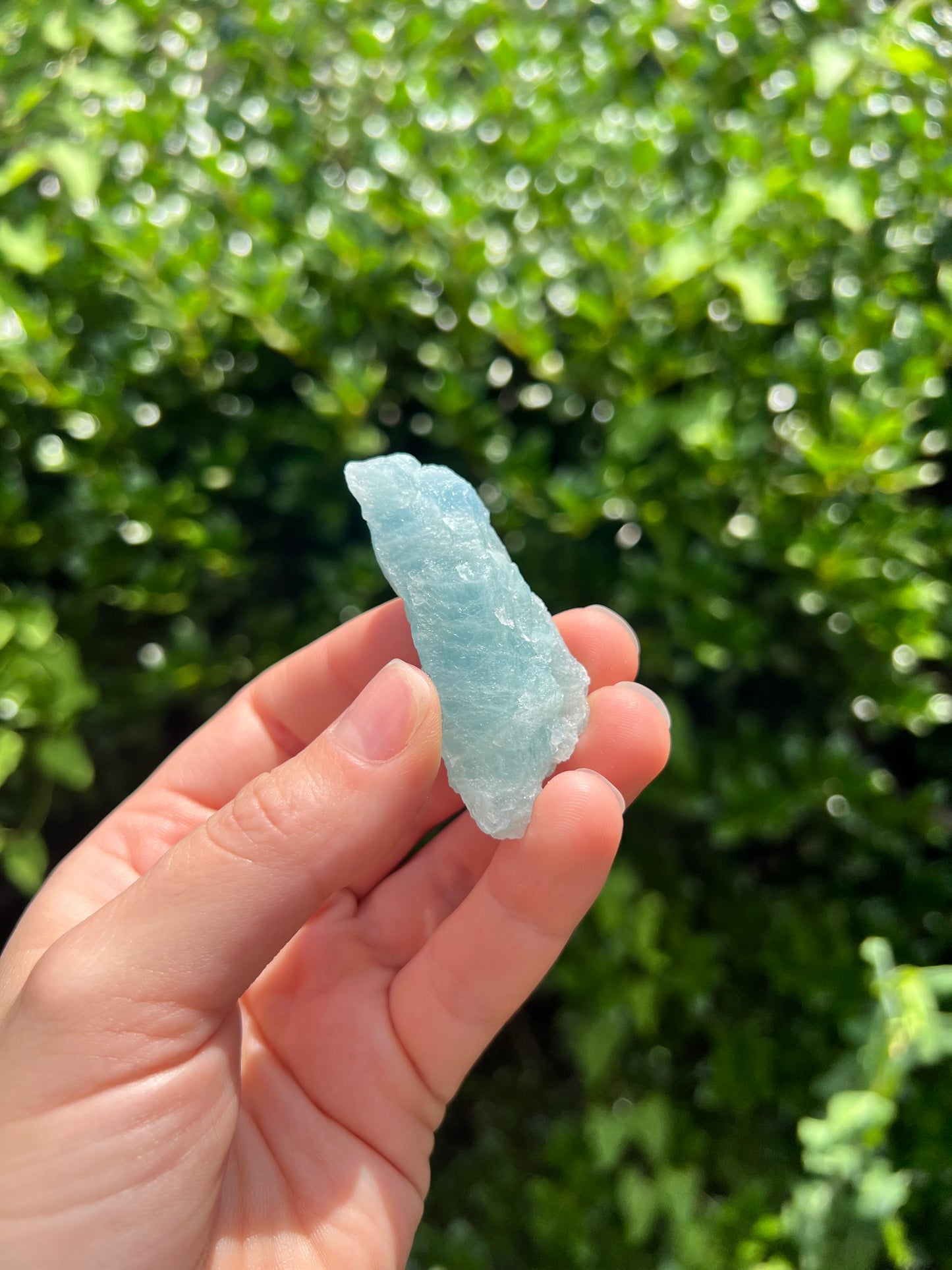 Aquamarine Freeforms - Unique Specimens