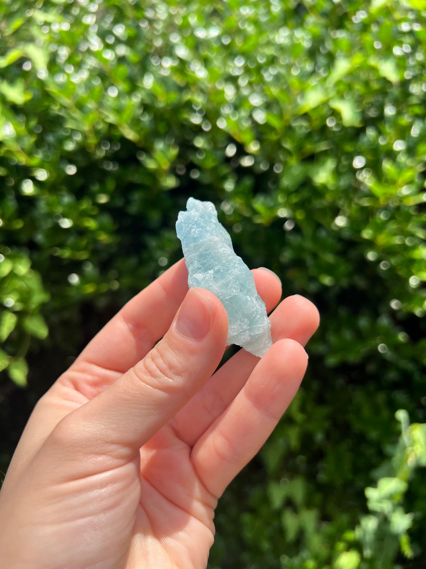 Aquamarine Freeforms - Unique Specimens