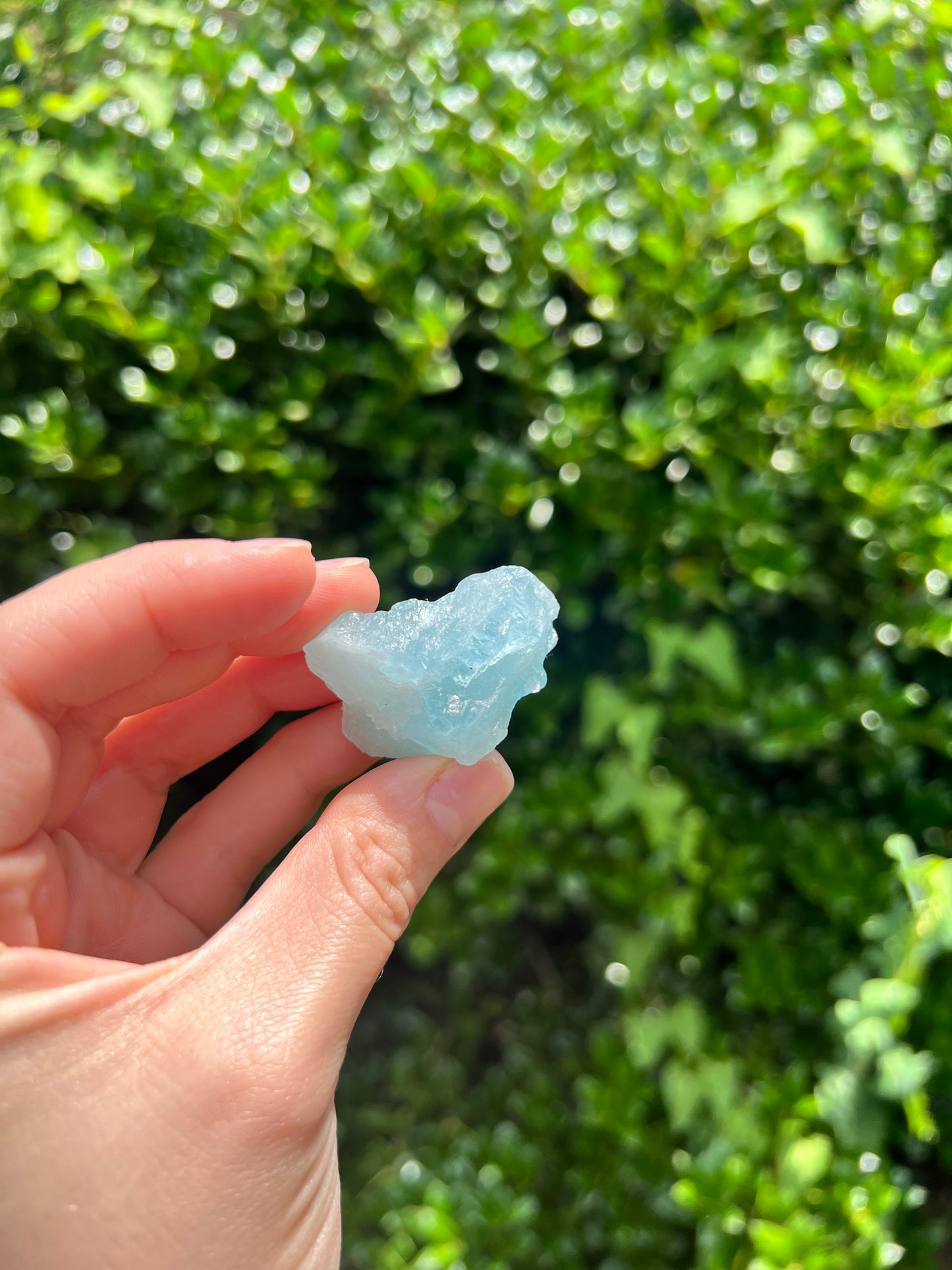 Aquamarine Freeforms - Unique Specimens