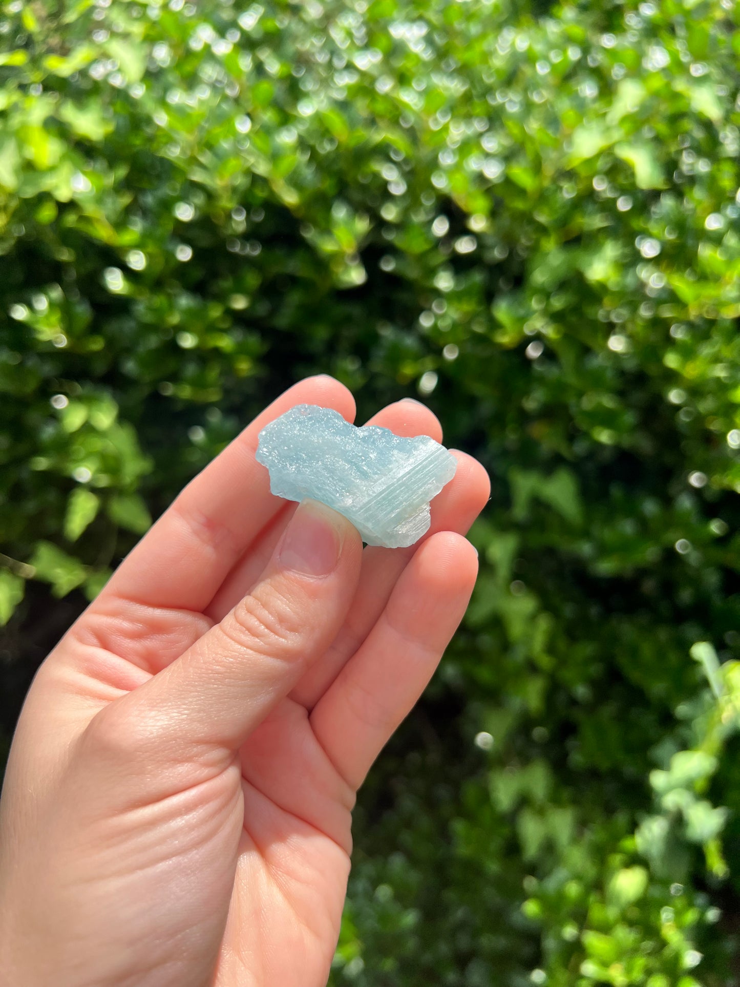 Aquamarine Freeforms - Unique Specimens