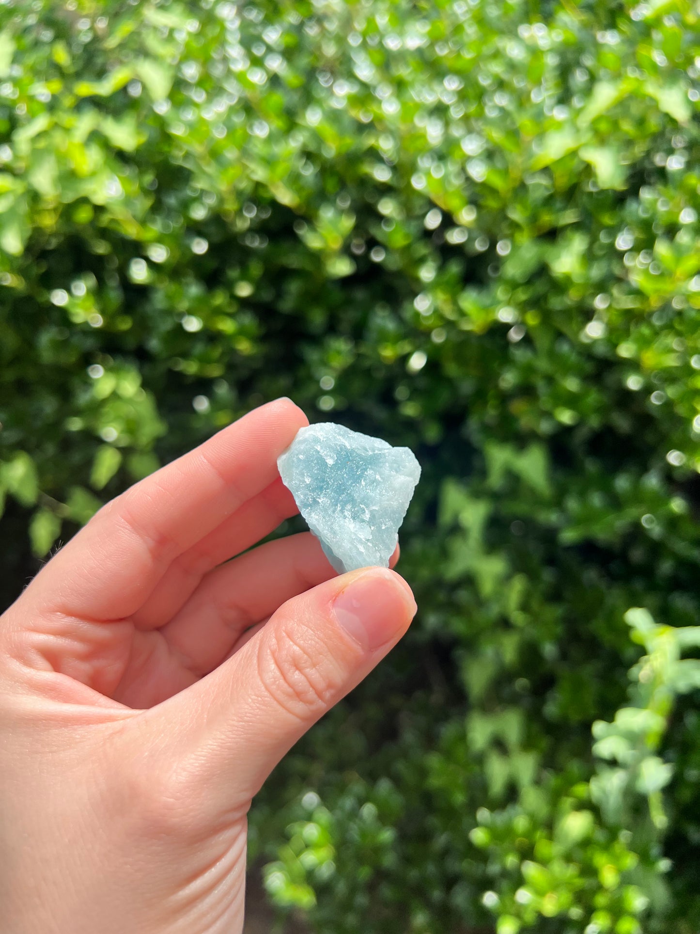 Aquamarine Freeforms - Unique Specimens